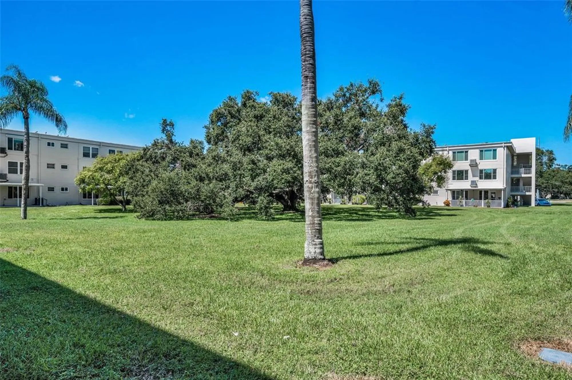 Property Slideshow image 32 of 67 | 2402 ecuadorian way 10, Clearwater, FL, 33763