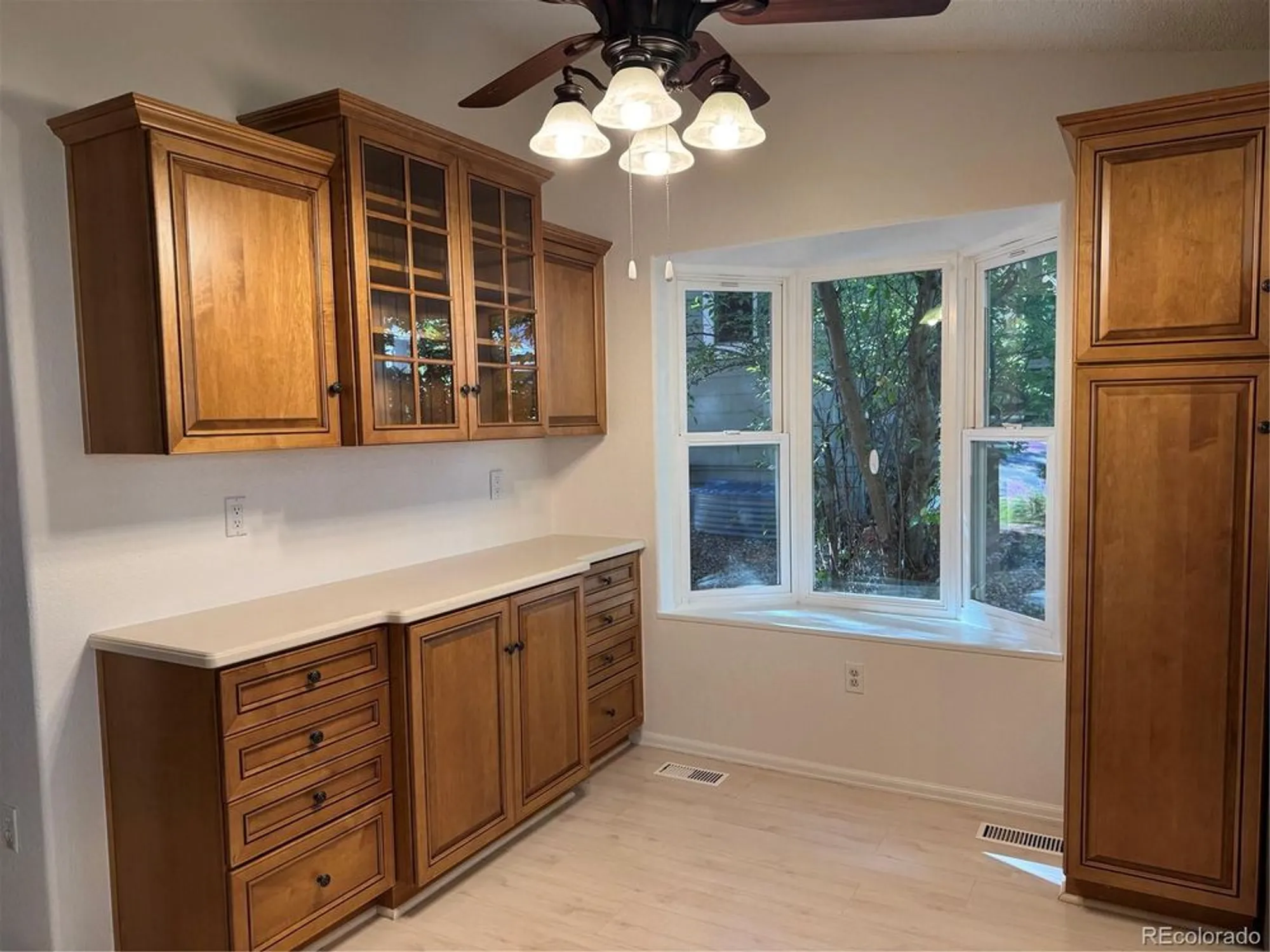 Property Slideshow image 6 of 31 | 41 canongate ln, Highlands Ranch, CO, 80130