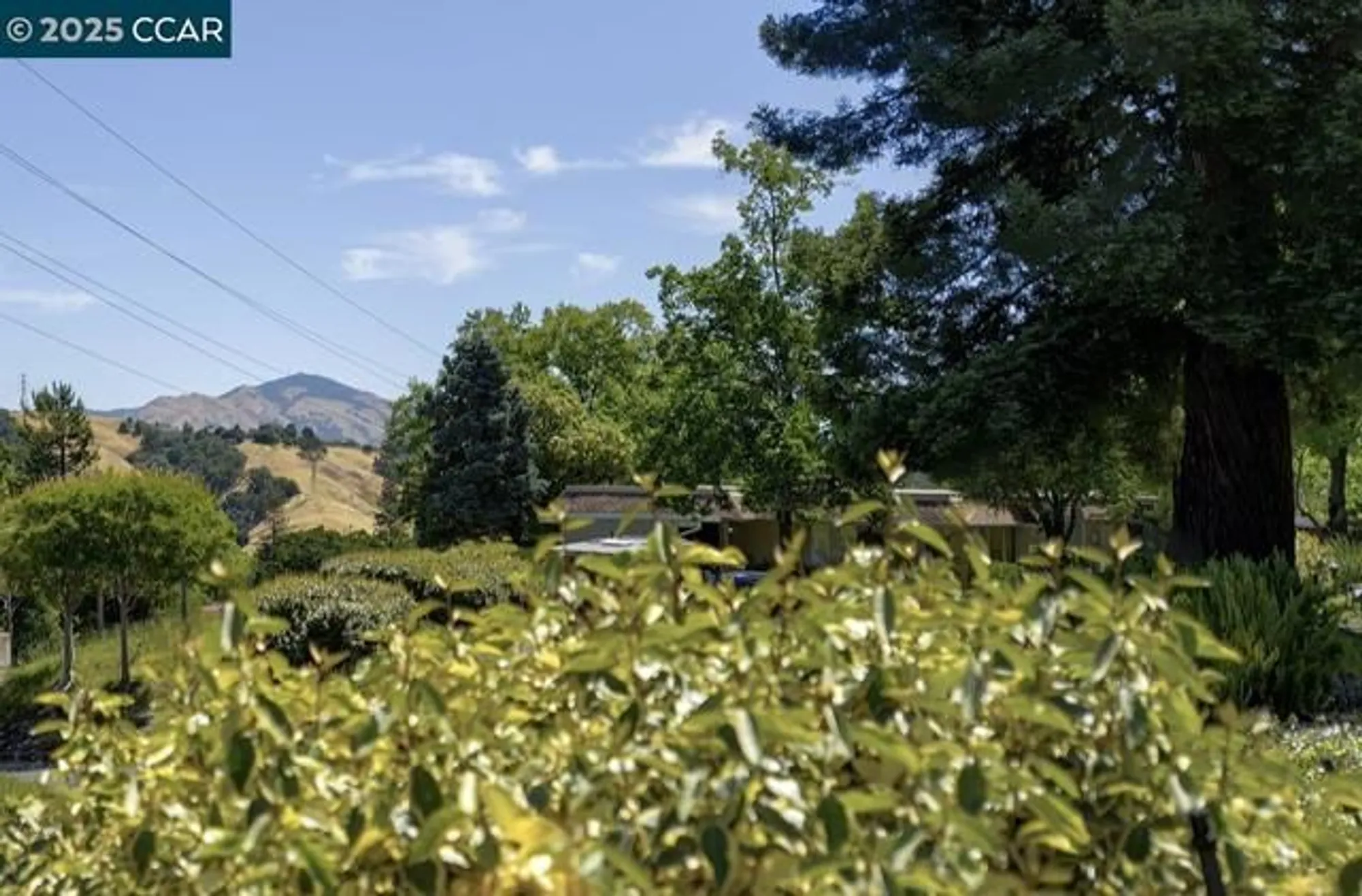 Property Slideshow image 4 of 55 | 2101 ptarmigan dr 2, Walnut Creek, CA, 94595