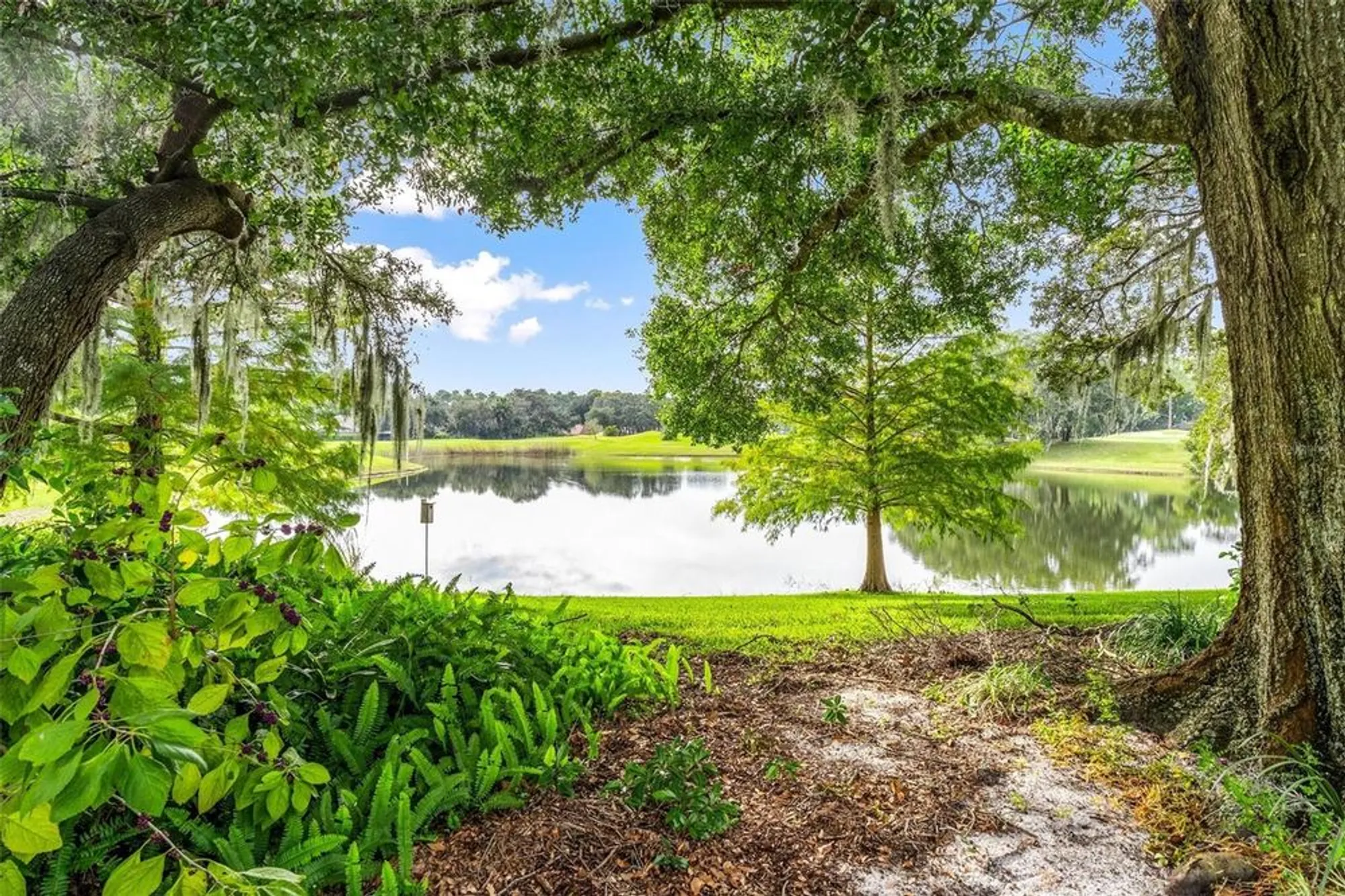 Property Slideshow image 2 of 39 | 7023 arcadian ct, Mount Dora, FL, 32757