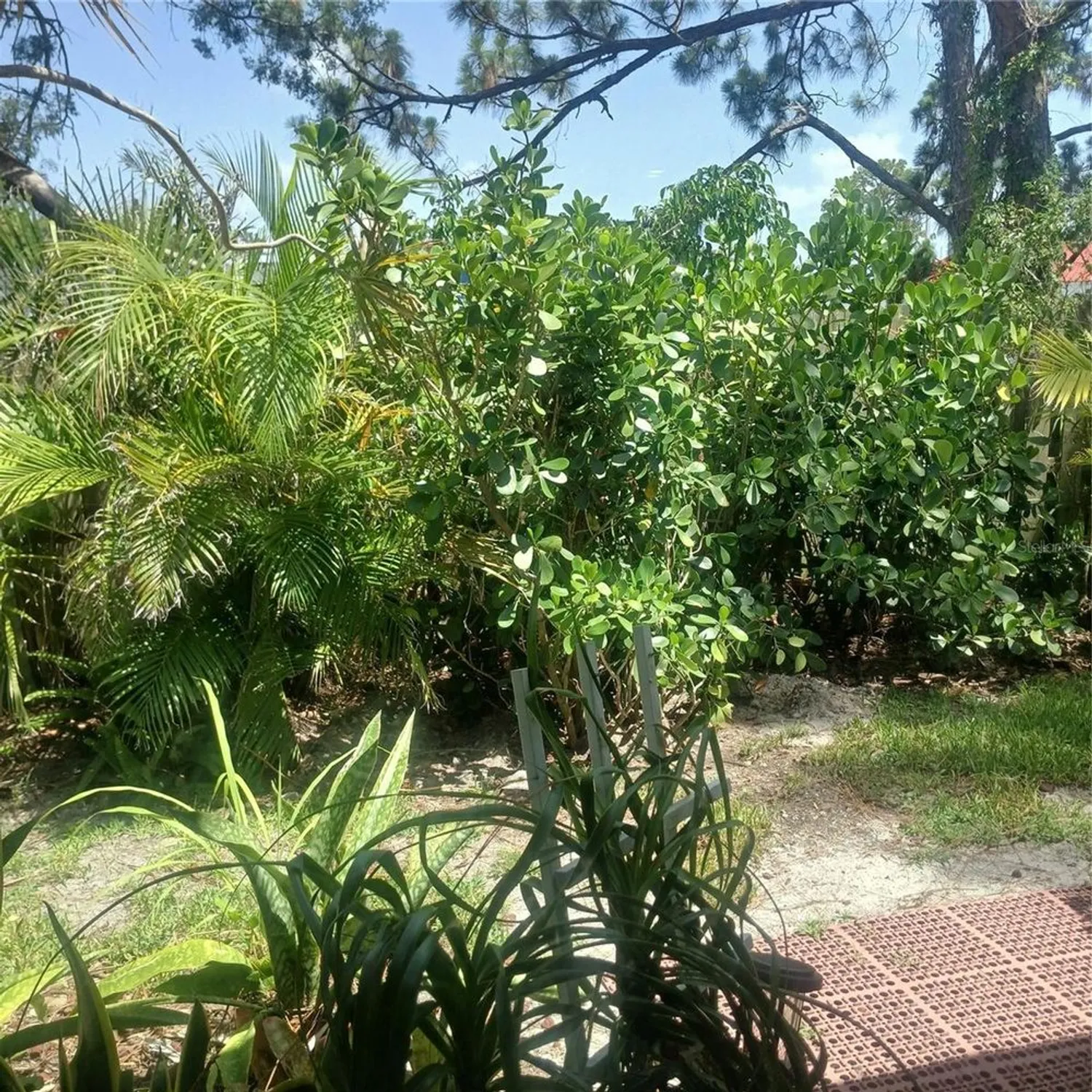 Property Slideshow image 21 of 36 | 7183 wood creek dr 9, Sarasota, FL, 34231