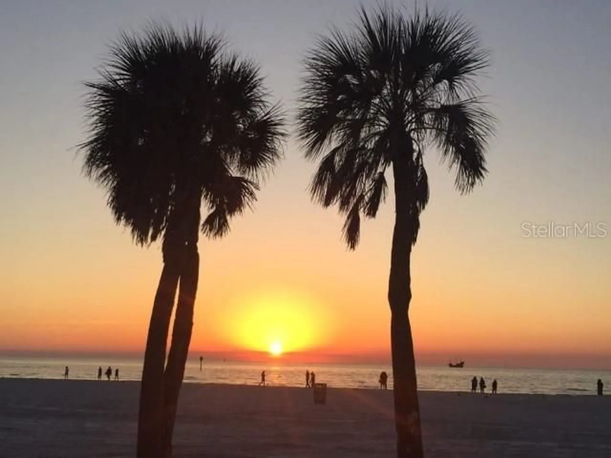 Property Slideshow image 82 of 84 | 1701 pinehurst rd apt 24b, Dunedin, FL, 34698