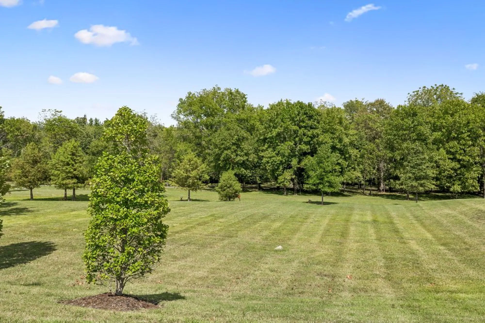 Property Slideshow image 35 of 42 | 161 winslow ct, Gallatin, TN, 37066