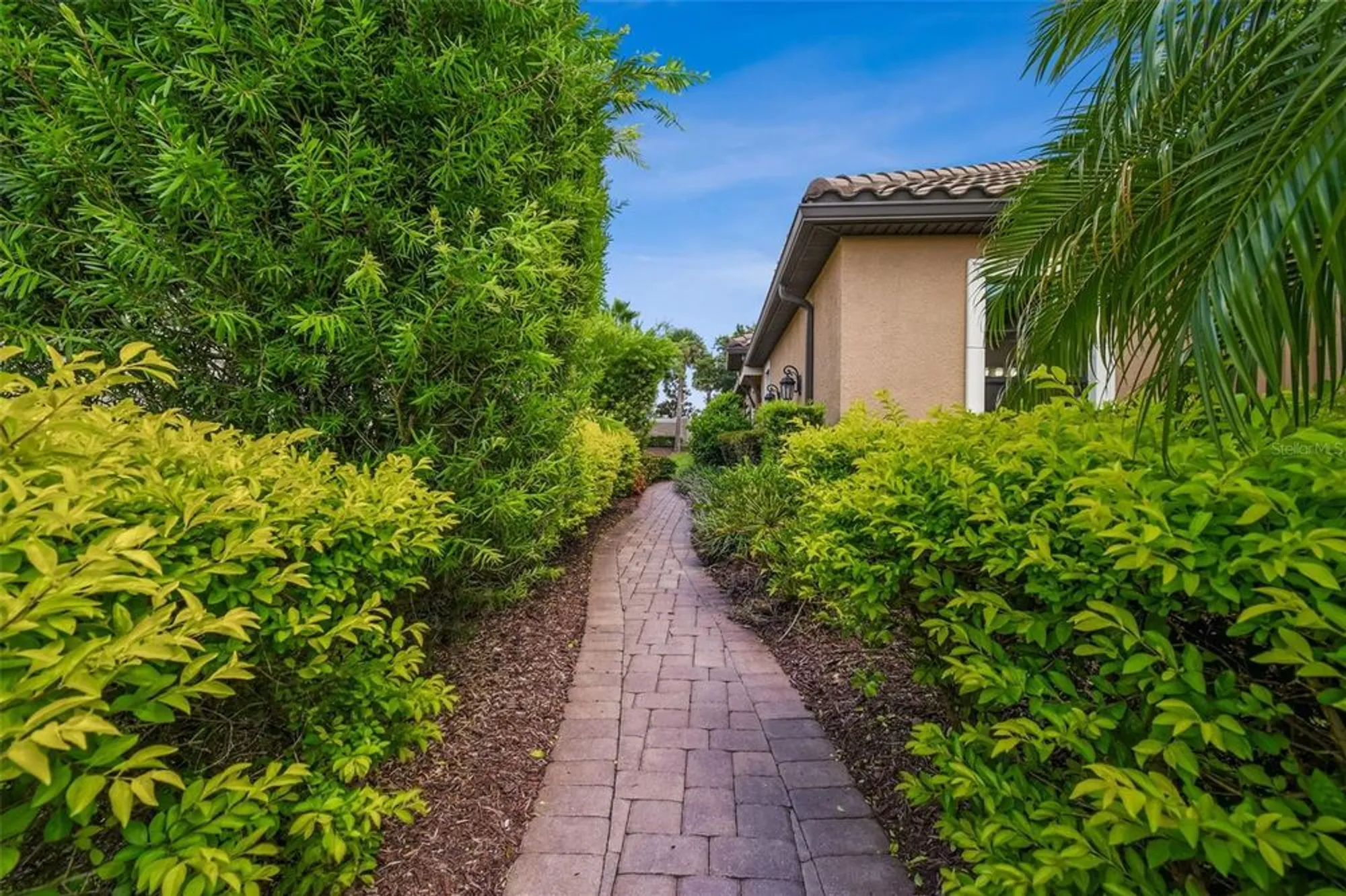 Property Slideshow image 7 of 70 | 11551 callisia dr, Odessa, FL, 33556