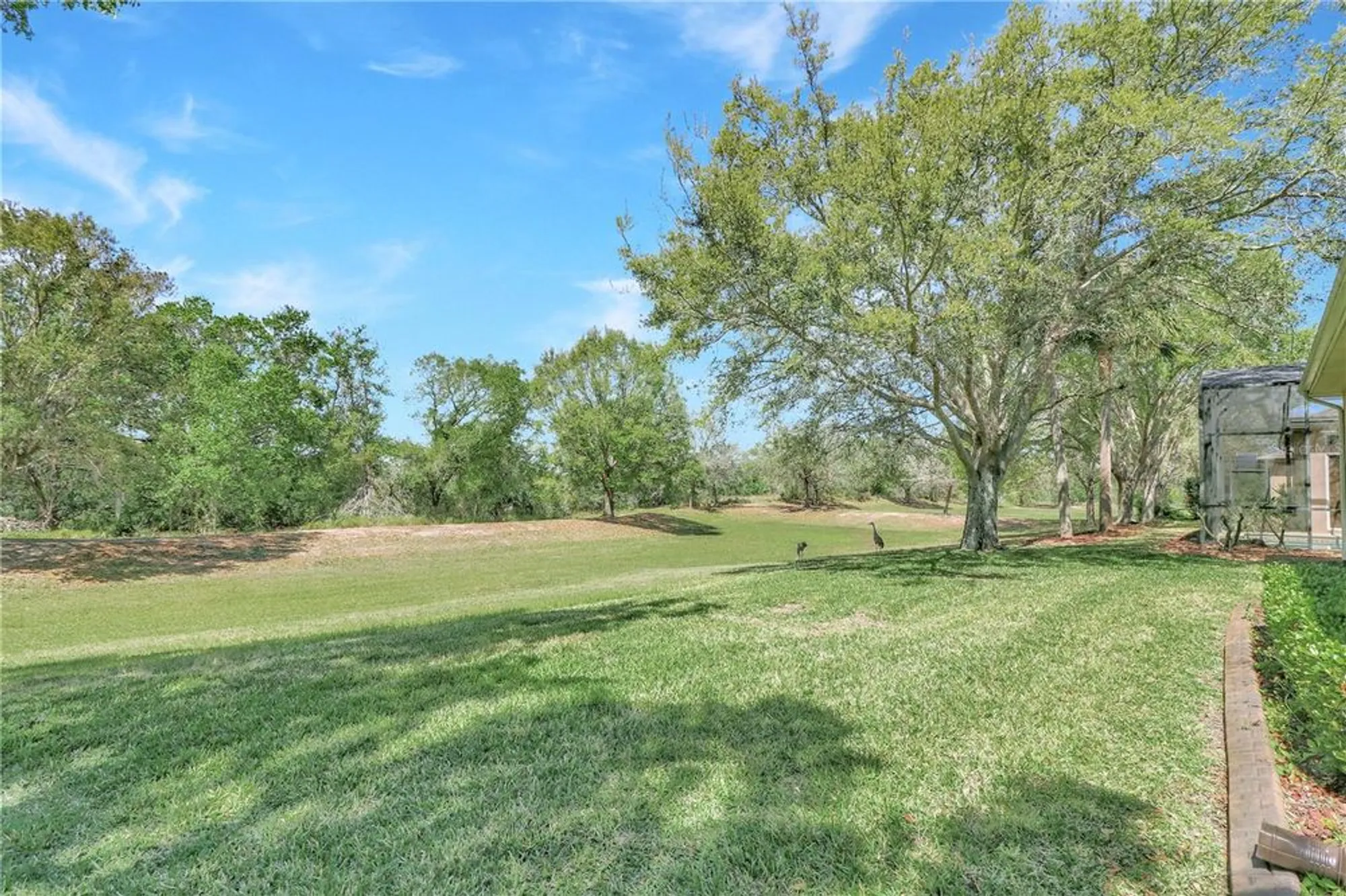 Property Slideshow image 26 of 46 | 20751 queen alexandra dr, Leesburg, FL, 34748