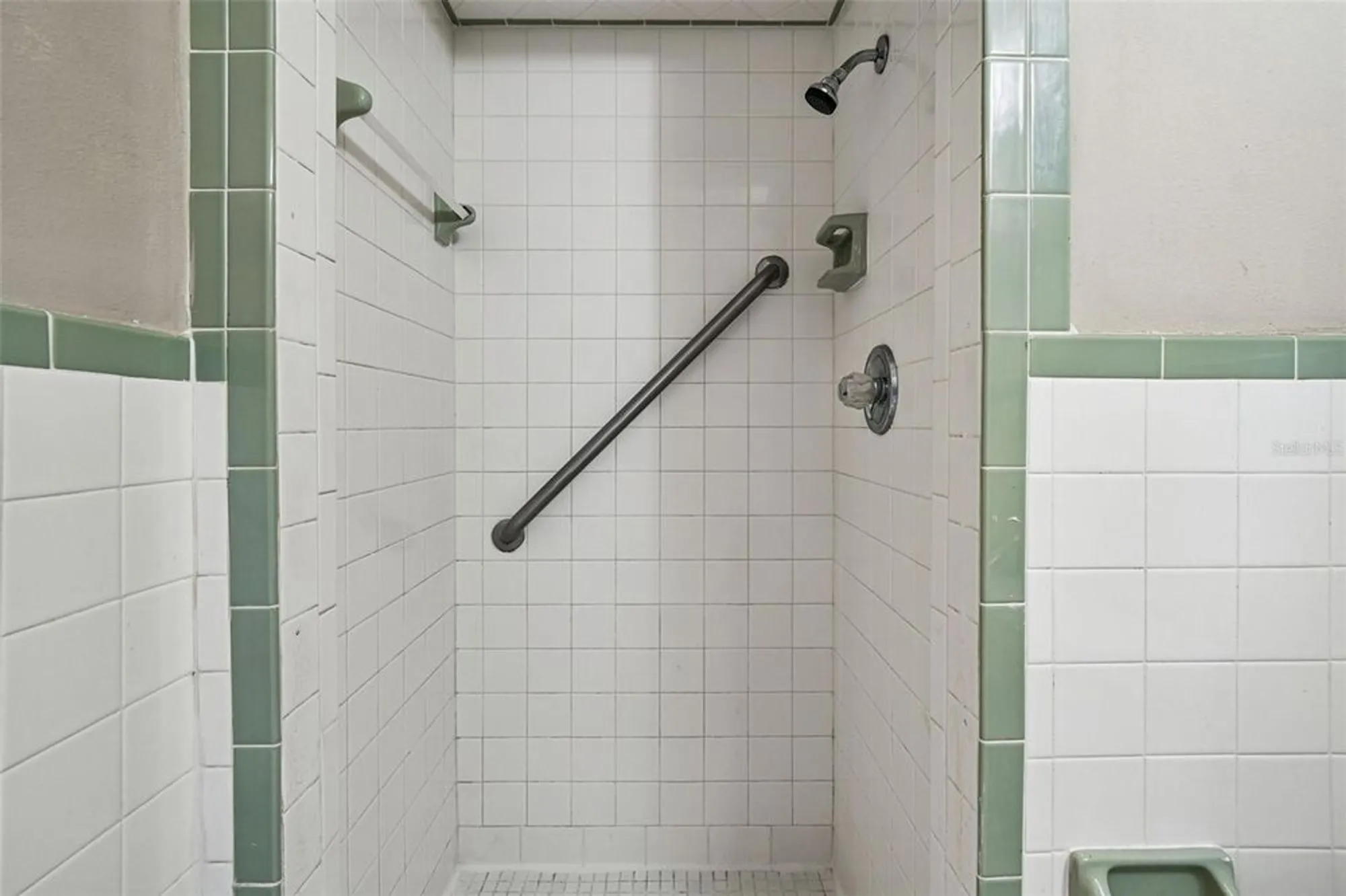 Property Slideshow image 48 of 100 | 1803 pineapple palm ct, Sun City Center, FL, 33573