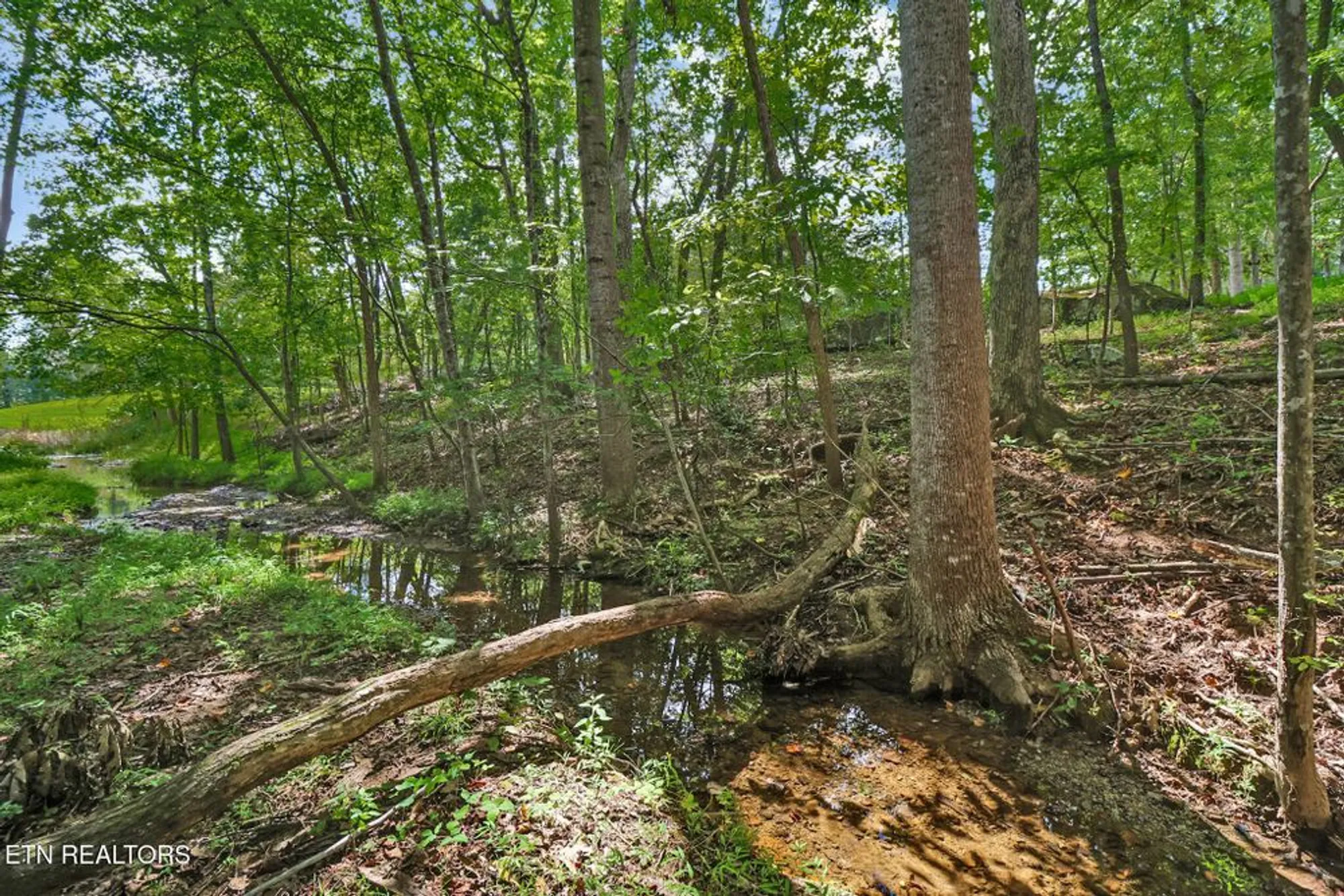 Property Slideshow image 44 of 54 | 104 flossmoor cir, Crossville, TN, 38558