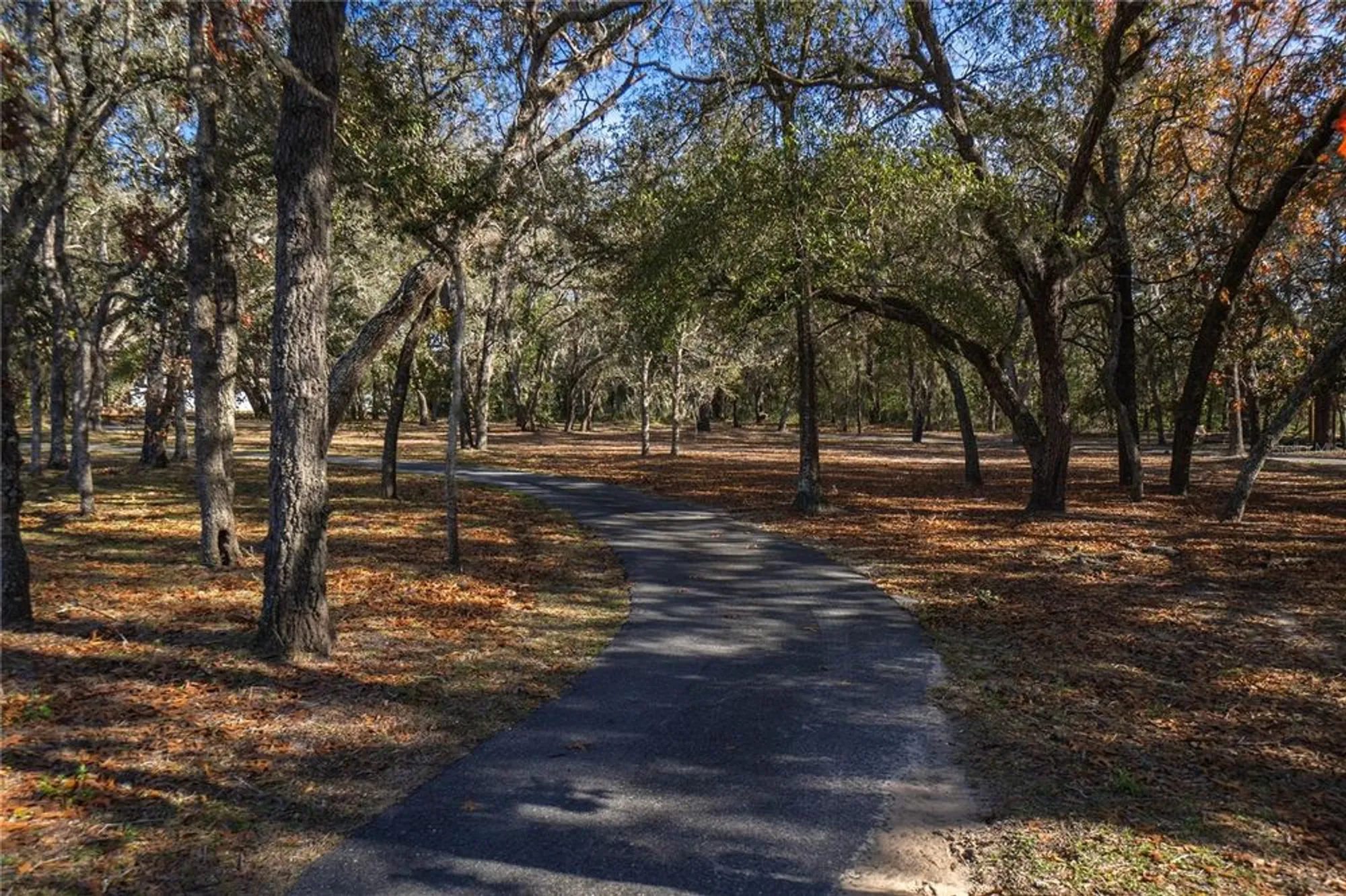 Property Slideshow image 64 of 70 | 1685 n bogey pt, Hernando, FL, 34442