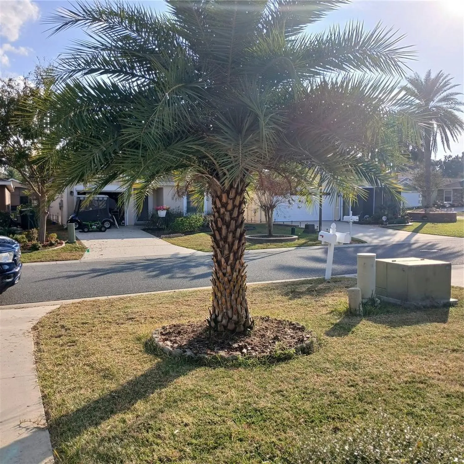 Property Slideshow image 55 of 55 | 4896 ne 123rd ln, Oxford, FL, 34484