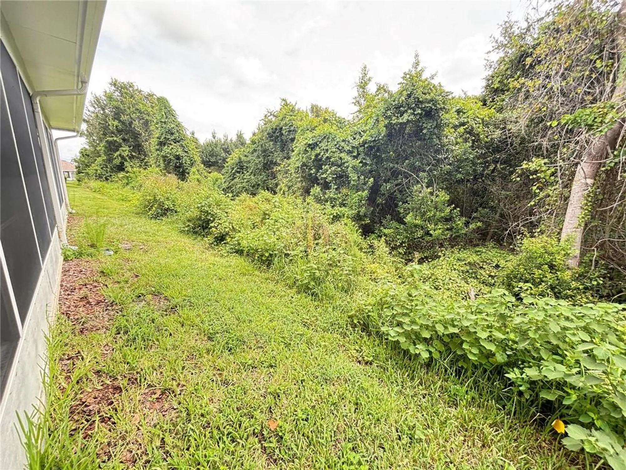 Property Slideshow image 23 of 23 | 9936 cleghorn dr, San Antonio, FL, 33576