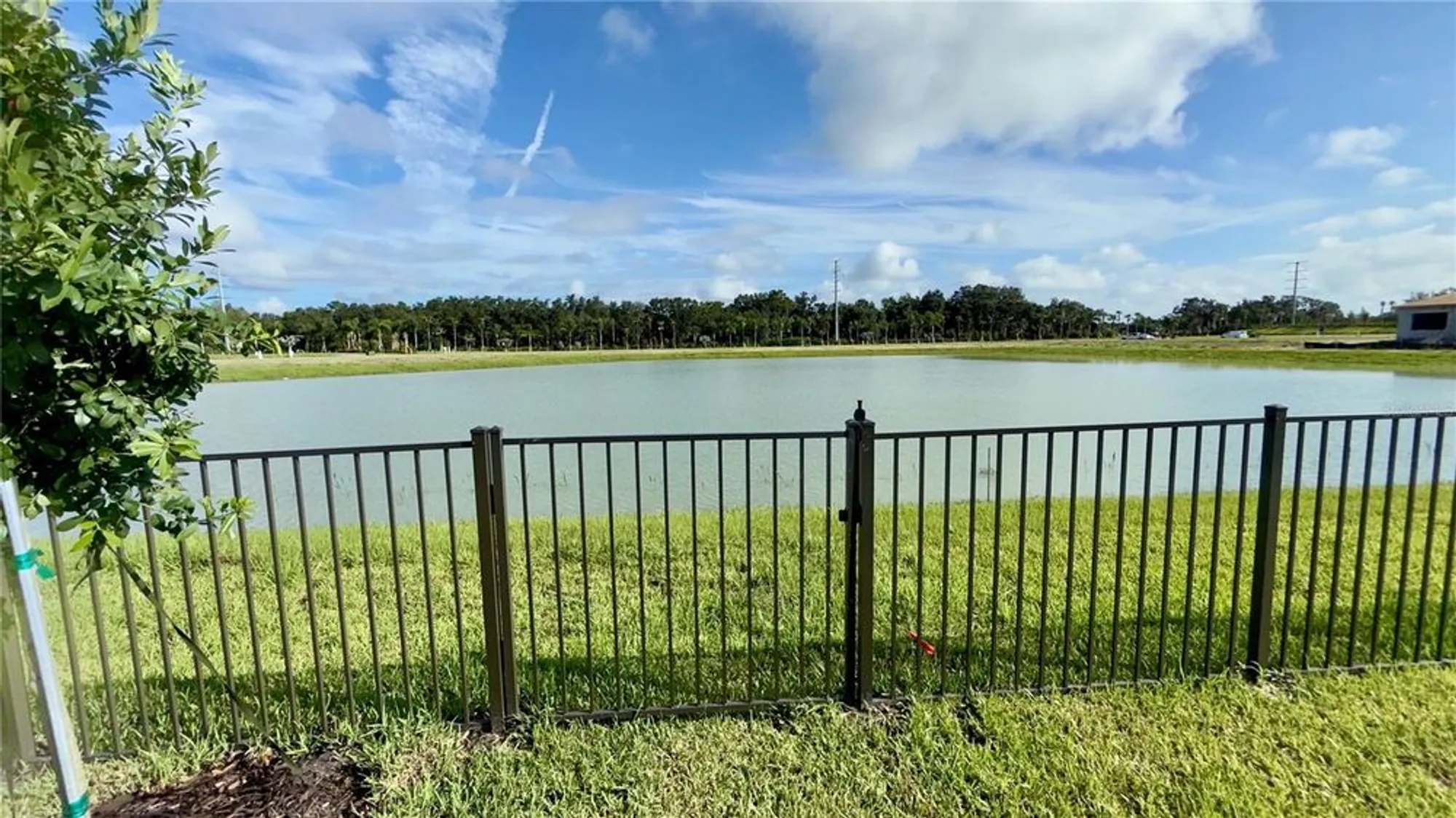 Property Slideshow image 37 of 52 | 32523 neroli st, Wesley Chapel, FL, 33543