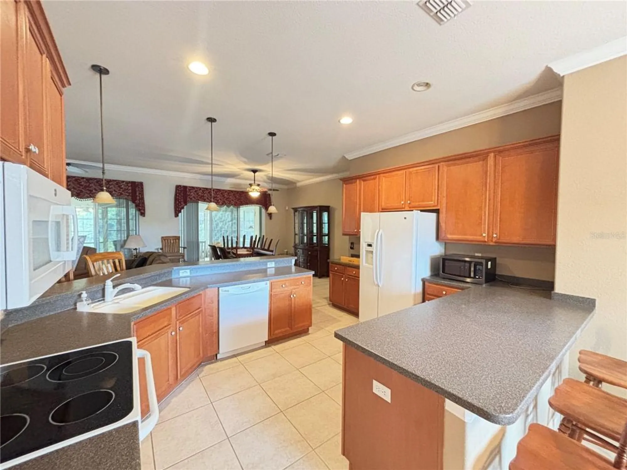 Property Slideshow image 5 of 23 | 9936 cleghorn dr, San Antonio, FL, 33576