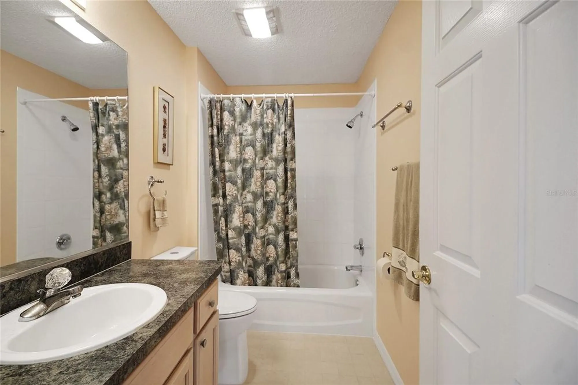 Property Slideshow image 28 of 46 | 9213 se 172nd santee pl, The Villages, FL, 32162