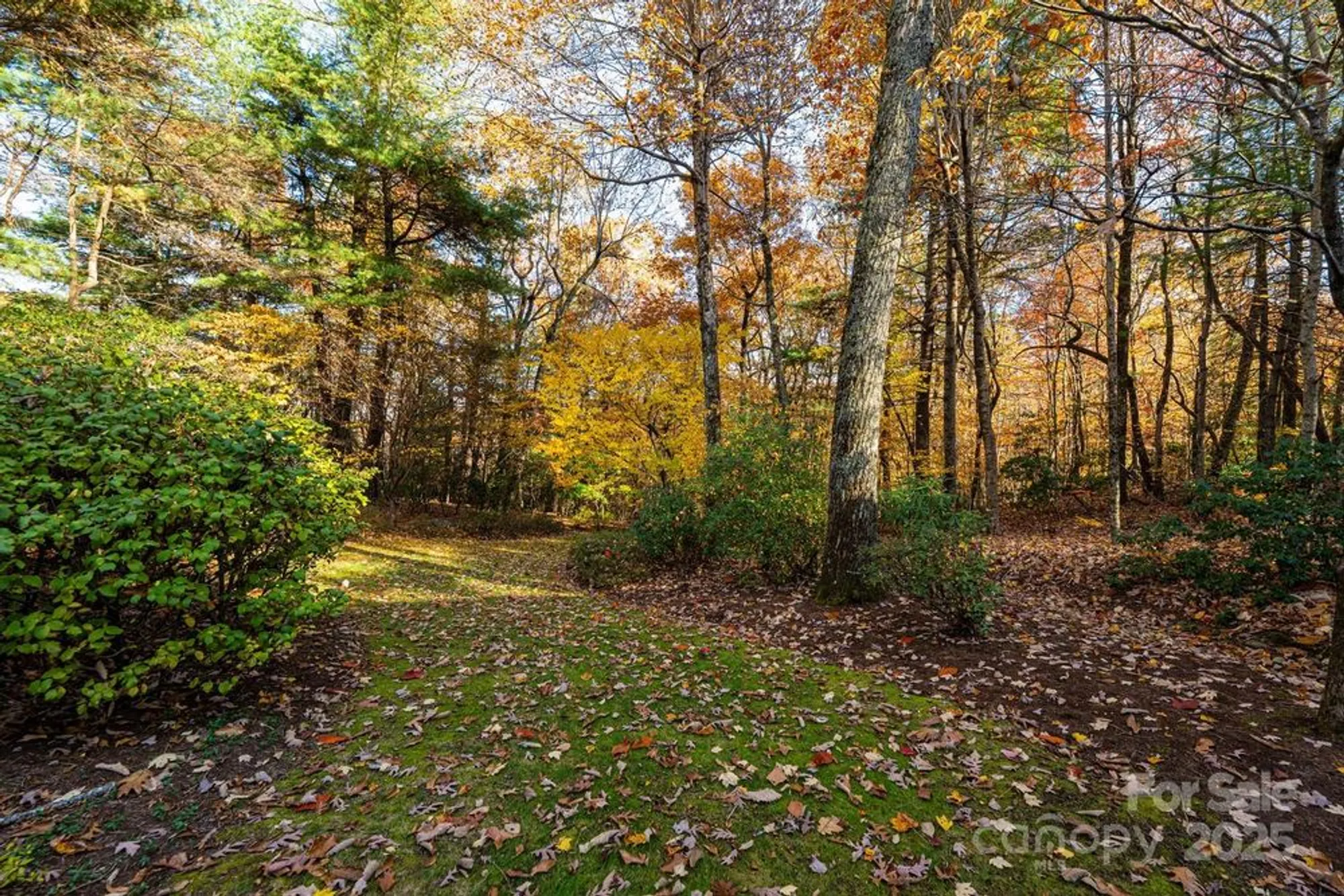 Property Slideshow image 45 of 48 | 106 woodglen ct, Flat Rock, NC, 28731