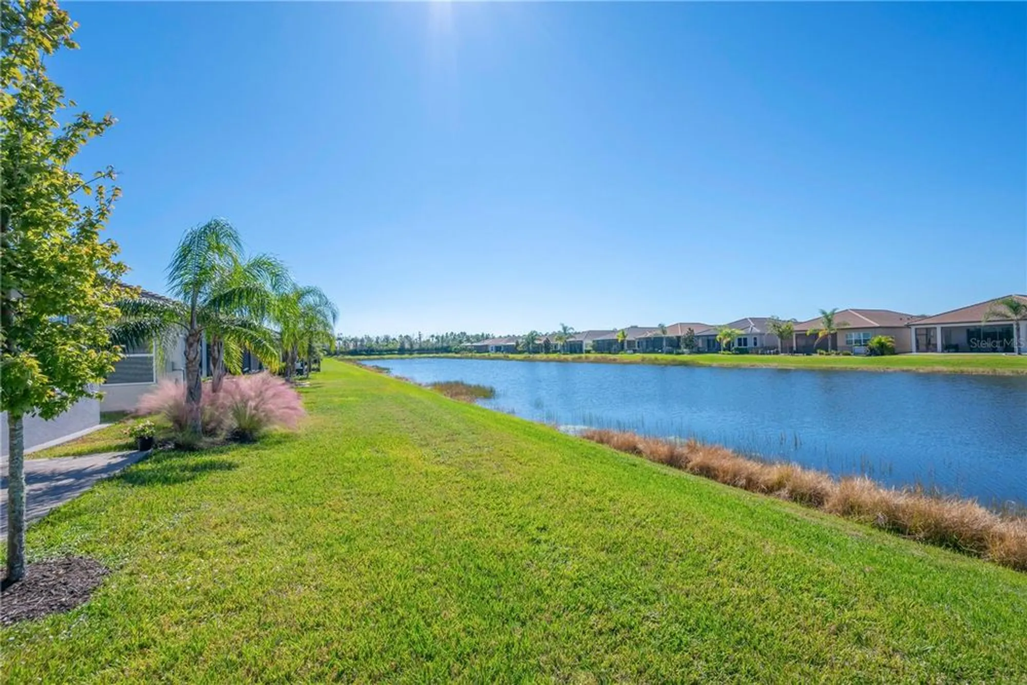 Property Slideshow image 31 of 48 | 15513 santa pola dr, Wimauma, FL, 33598