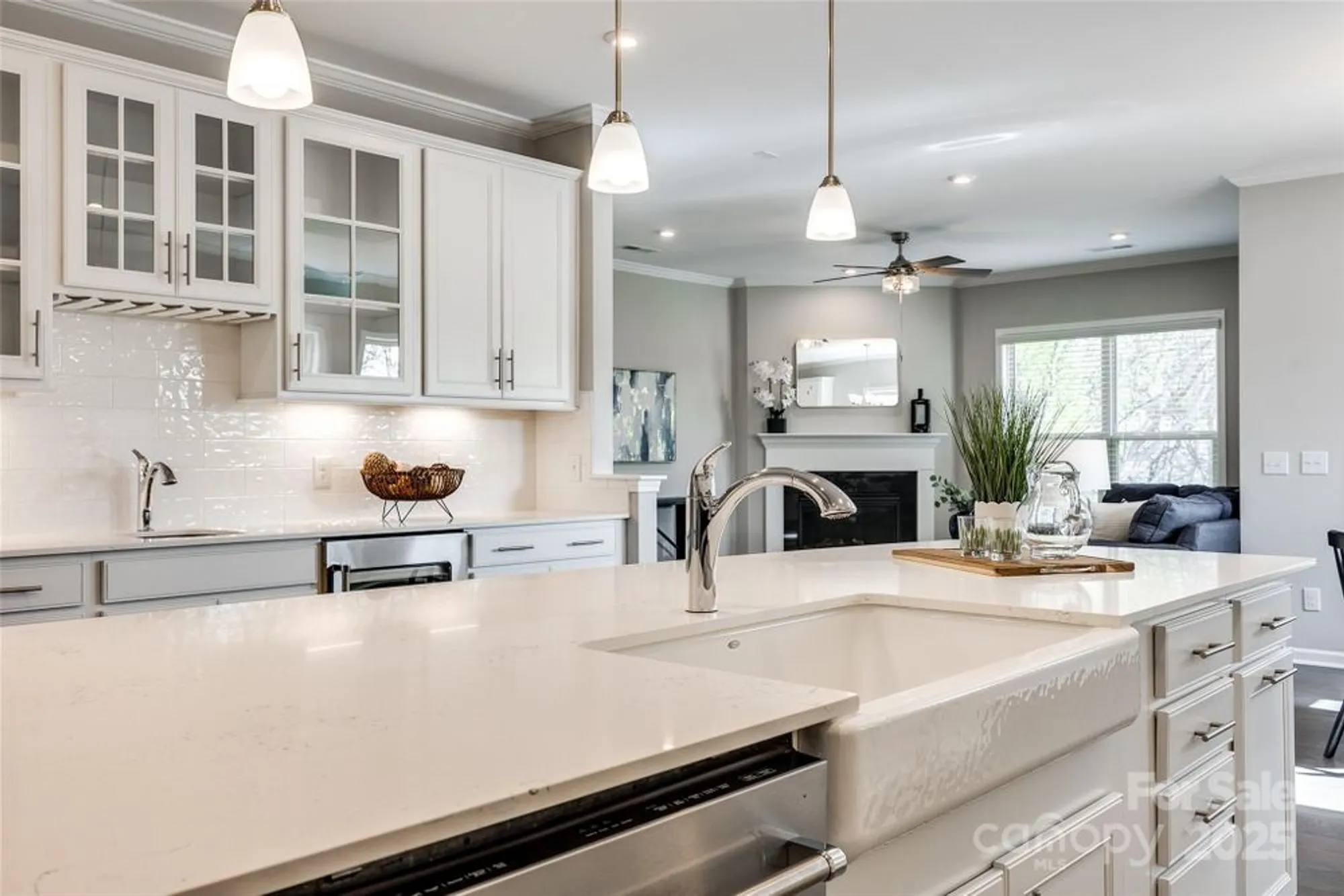 Property Slideshow image 11 of 41 | 1625 carolina orchards blvd, Fort Mill, SC, 29715