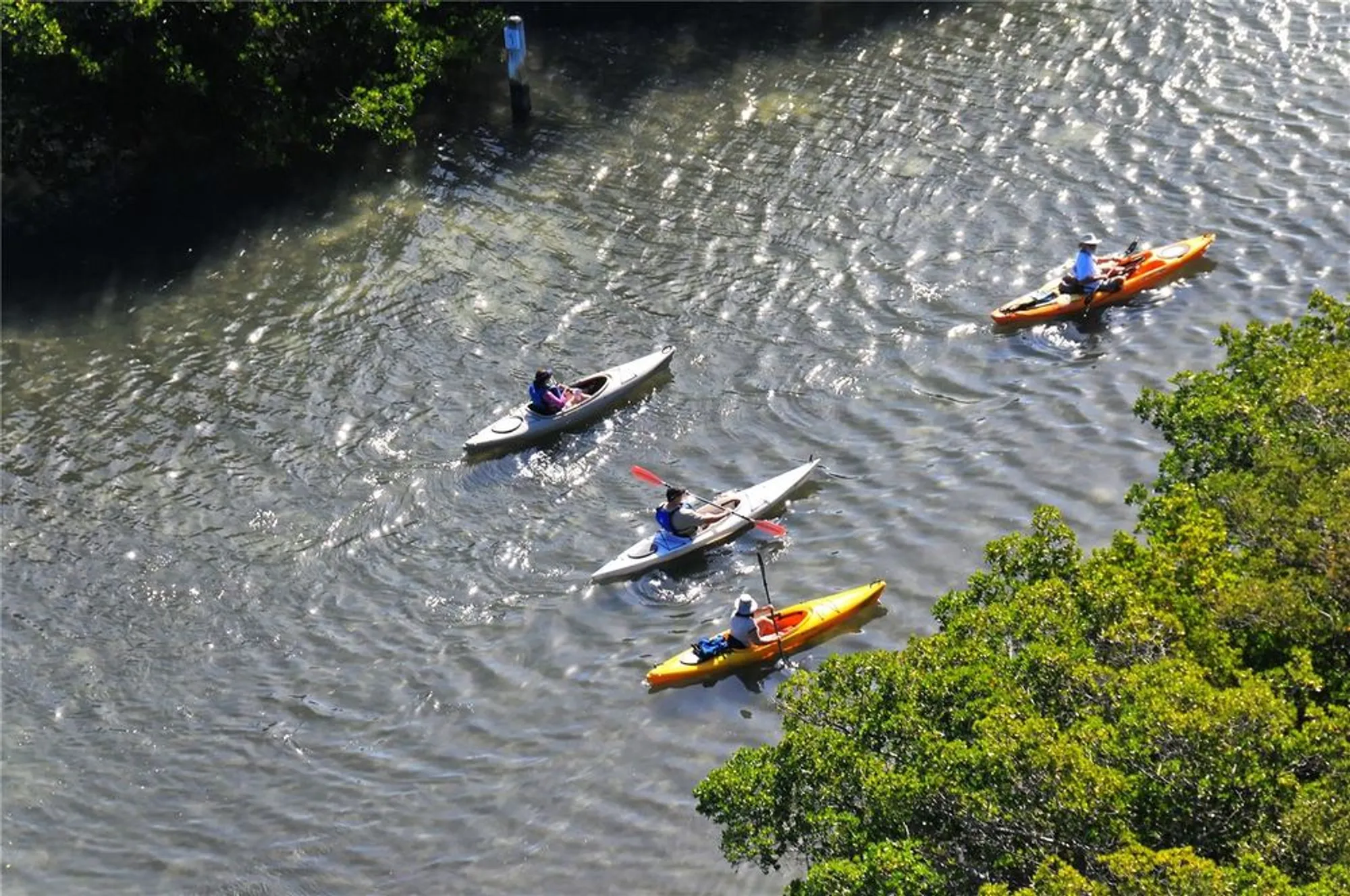 Property Slideshow image 64 of 65 | 5440 eagles point cir apt 104, Sarasota, FL, 34231