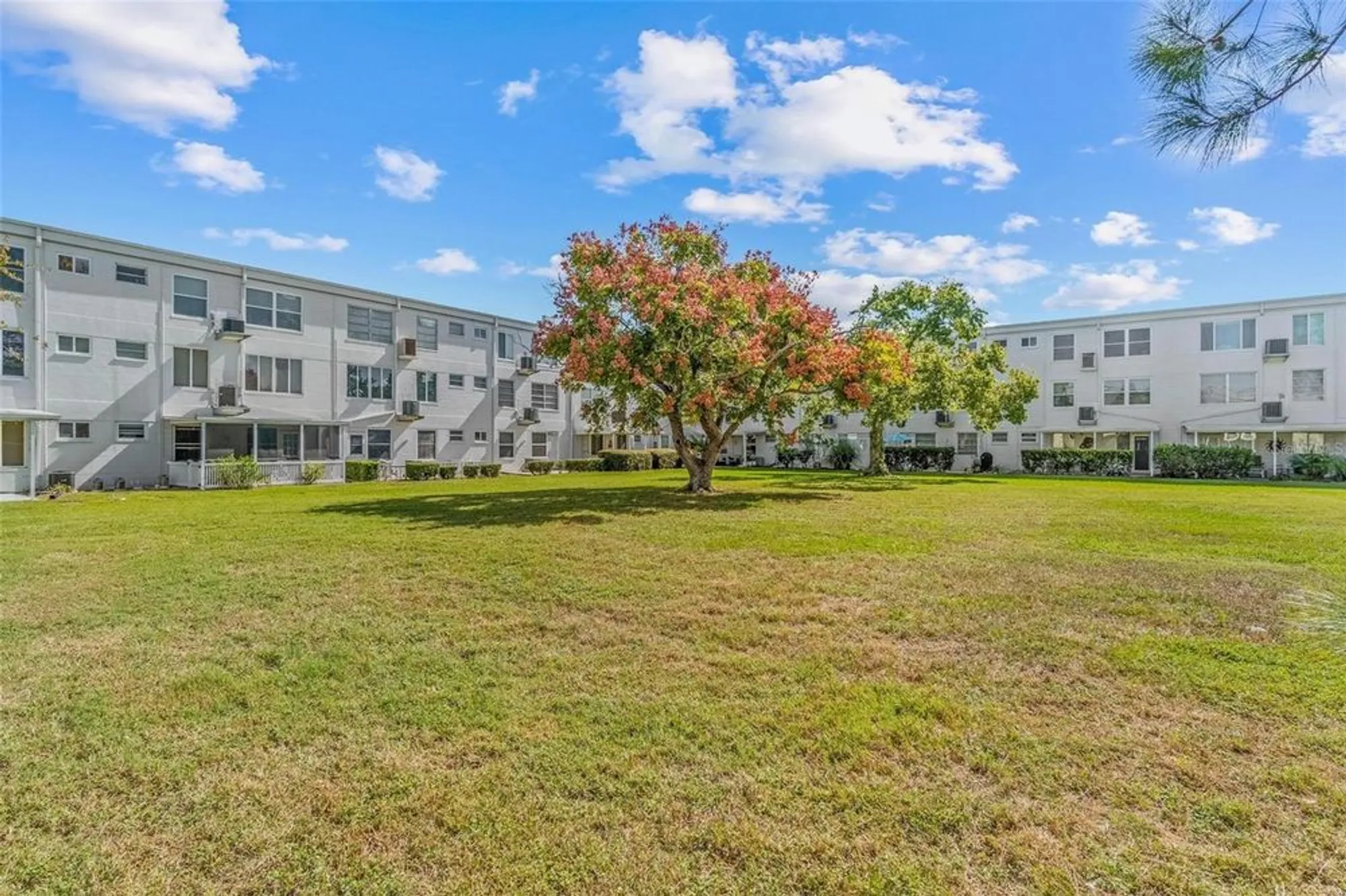 Property Slideshow image 18 of 40 | 2455 finlandia ln 39, Clearwater, FL, 33763