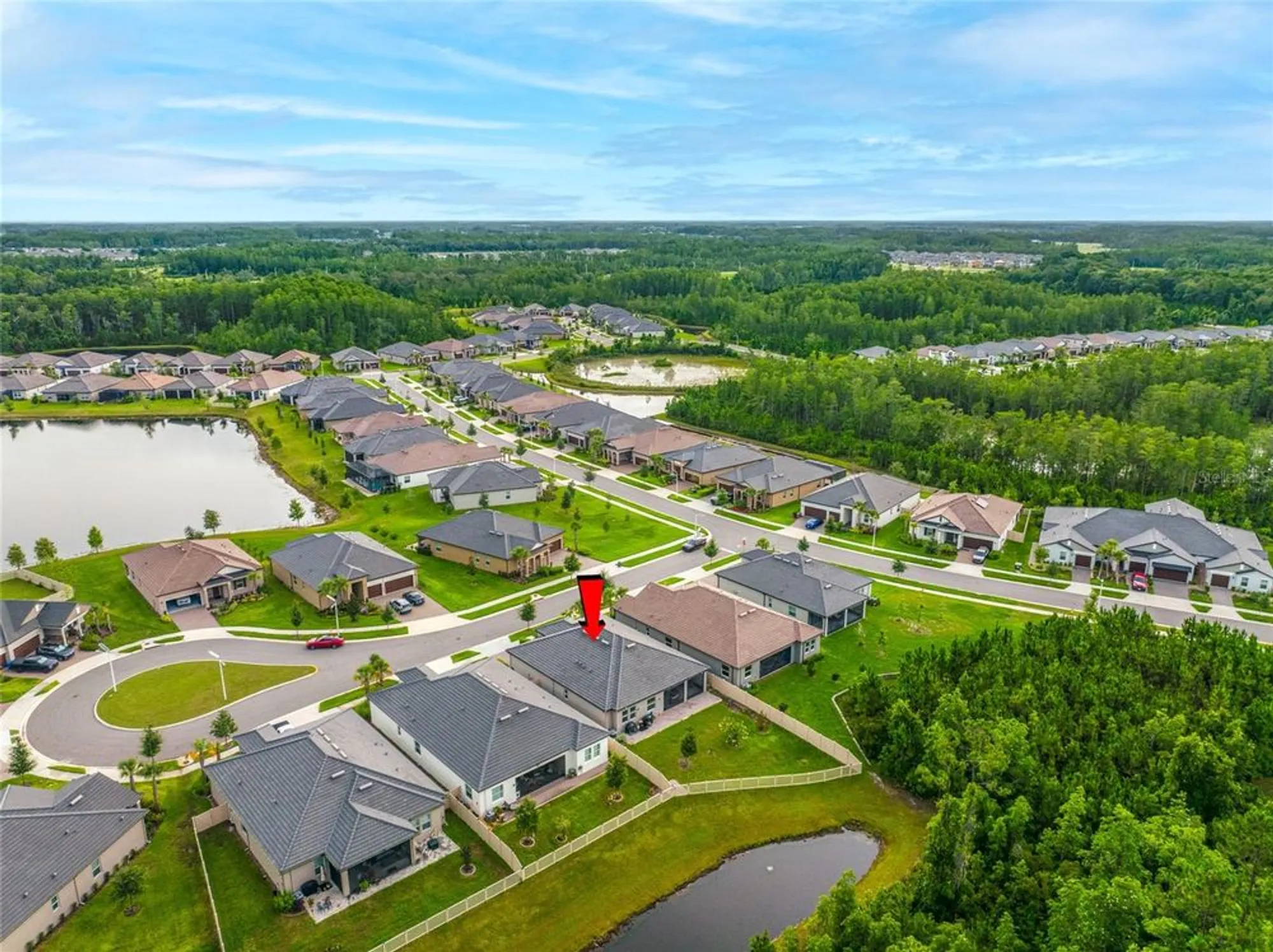 Property Slideshow image 73 of 93 | 10639 bailey pearl ct, Land O Lakes, FL, 34638