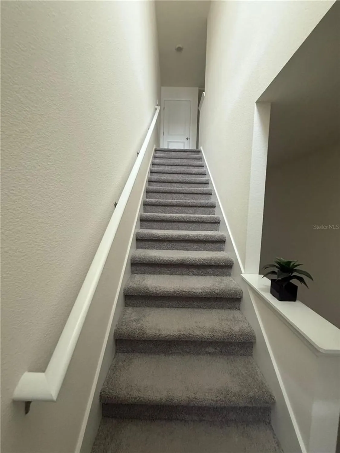 Property Slideshow image 29 of 50 | 6665 sw 81st loop, Ocala, FL, 34476