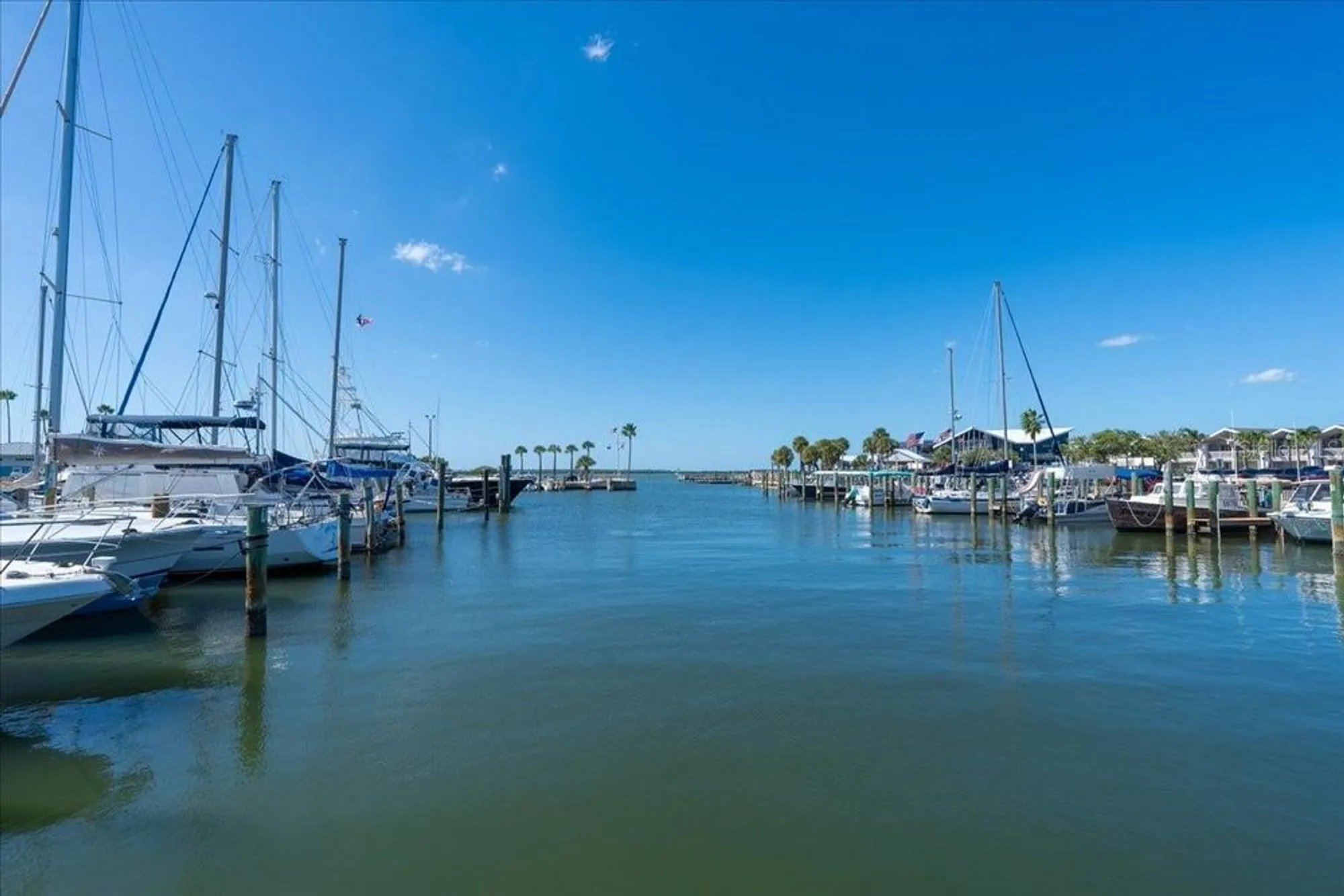 Property Slideshow image 32 of 37 | 821 patricia ave 202, Dunedin, FL, 34698
