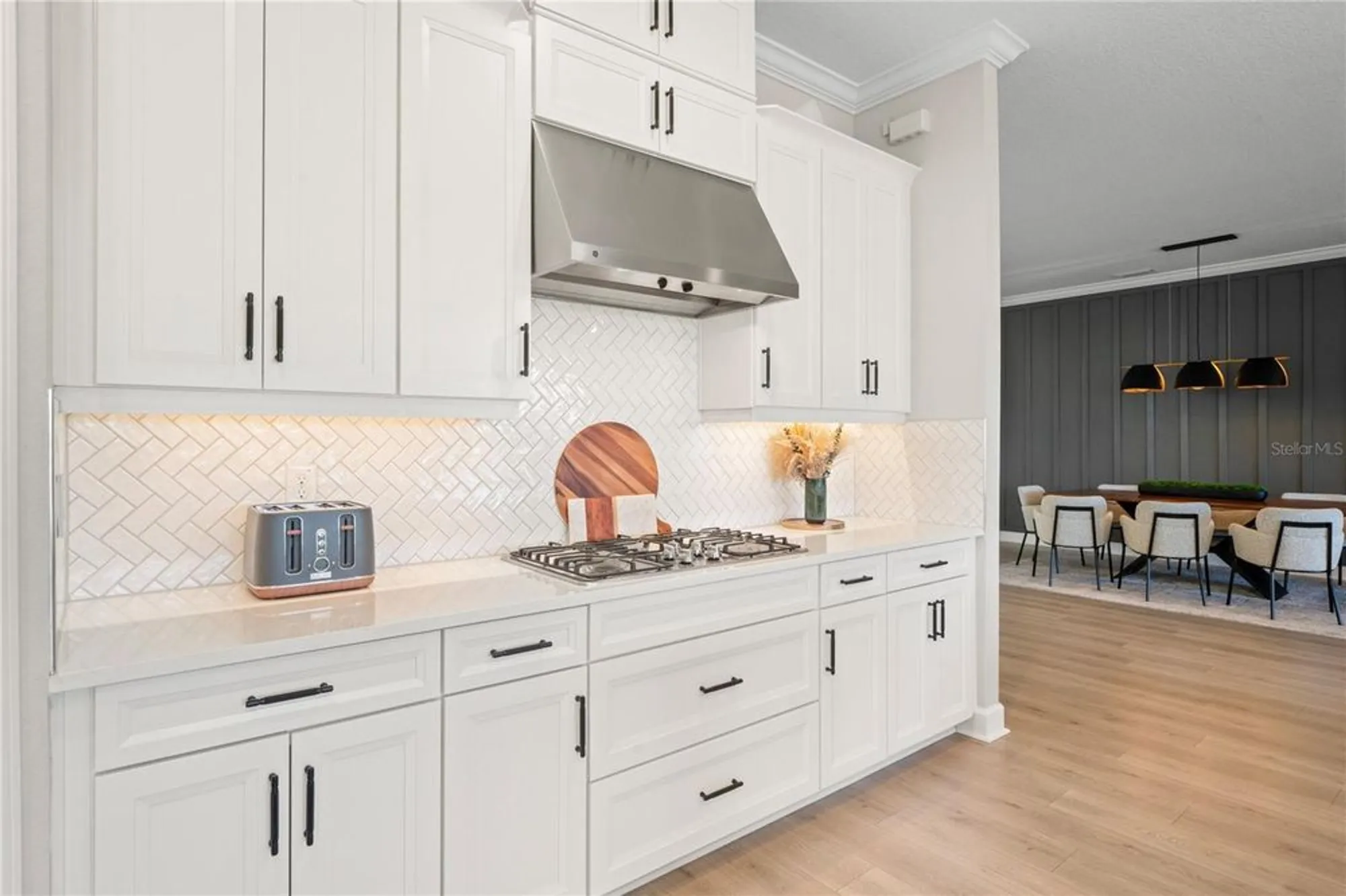 Property Slideshow image 24 of 91 | 11223 egeria dr, Odessa, FL, 33556