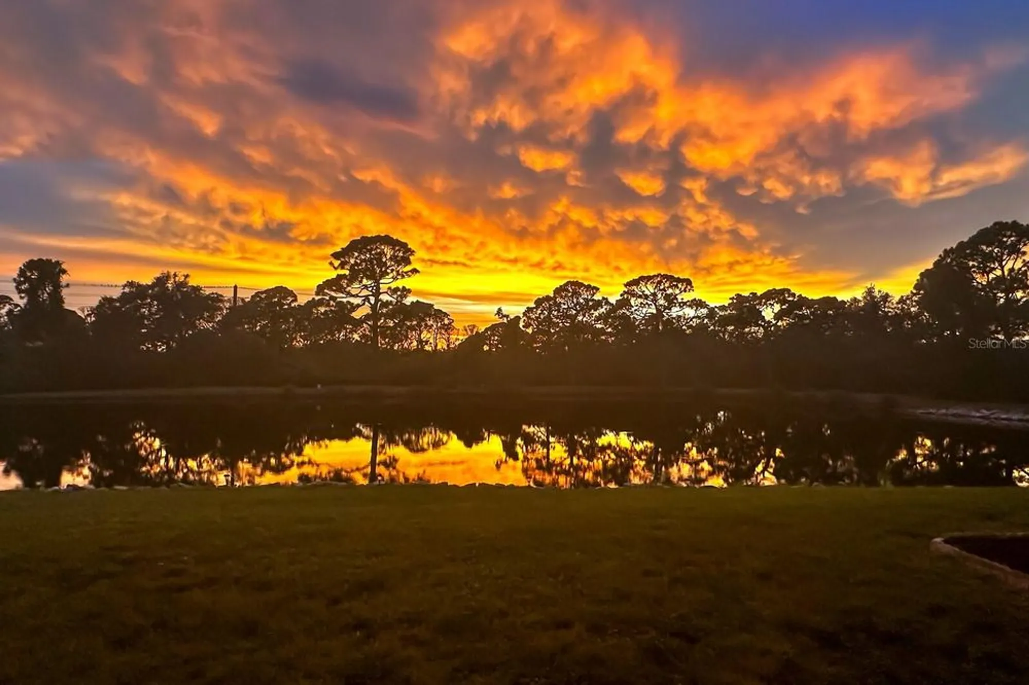 Property Slideshow image 77 of 77 | 8186 terrace garden dr n unit 101, St Petersburg, FL, 33709