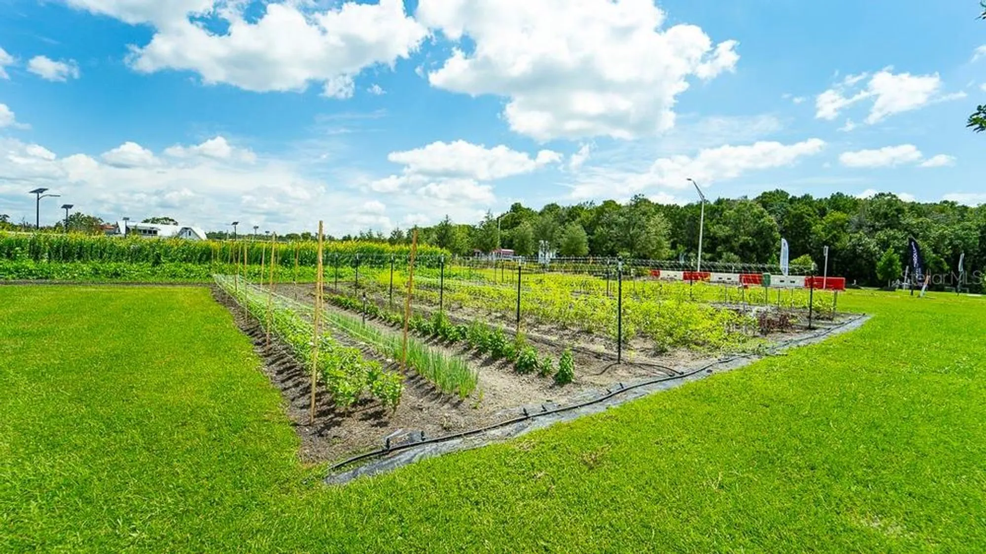 Property Slideshow image 69 of 71 | 10982 banyan breeze blvd, Land O Lakes, FL, 34638