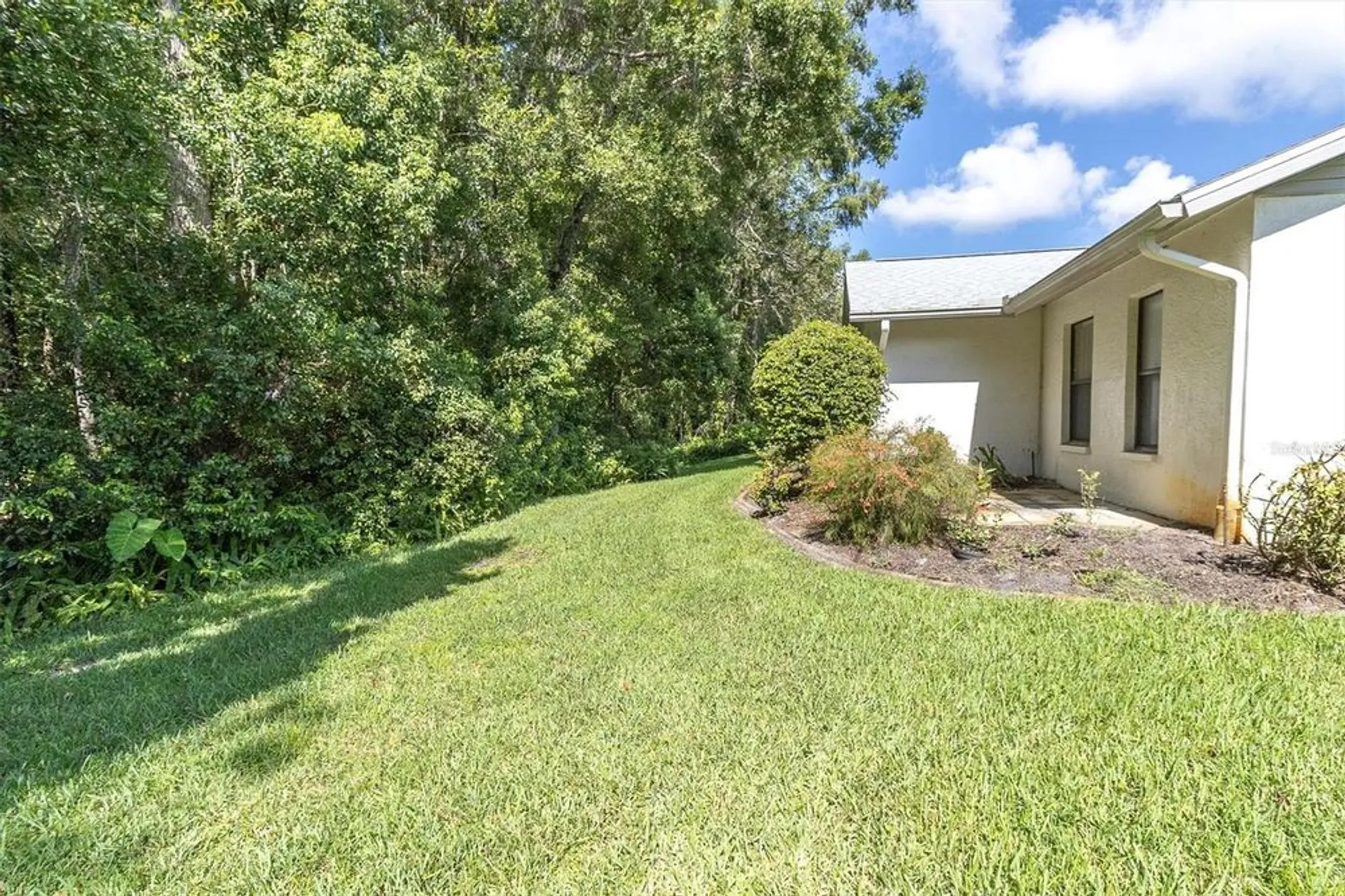 Property Slideshow image 21 of 25 | 11736 white ash dr, New Port Richey, FL, 34654