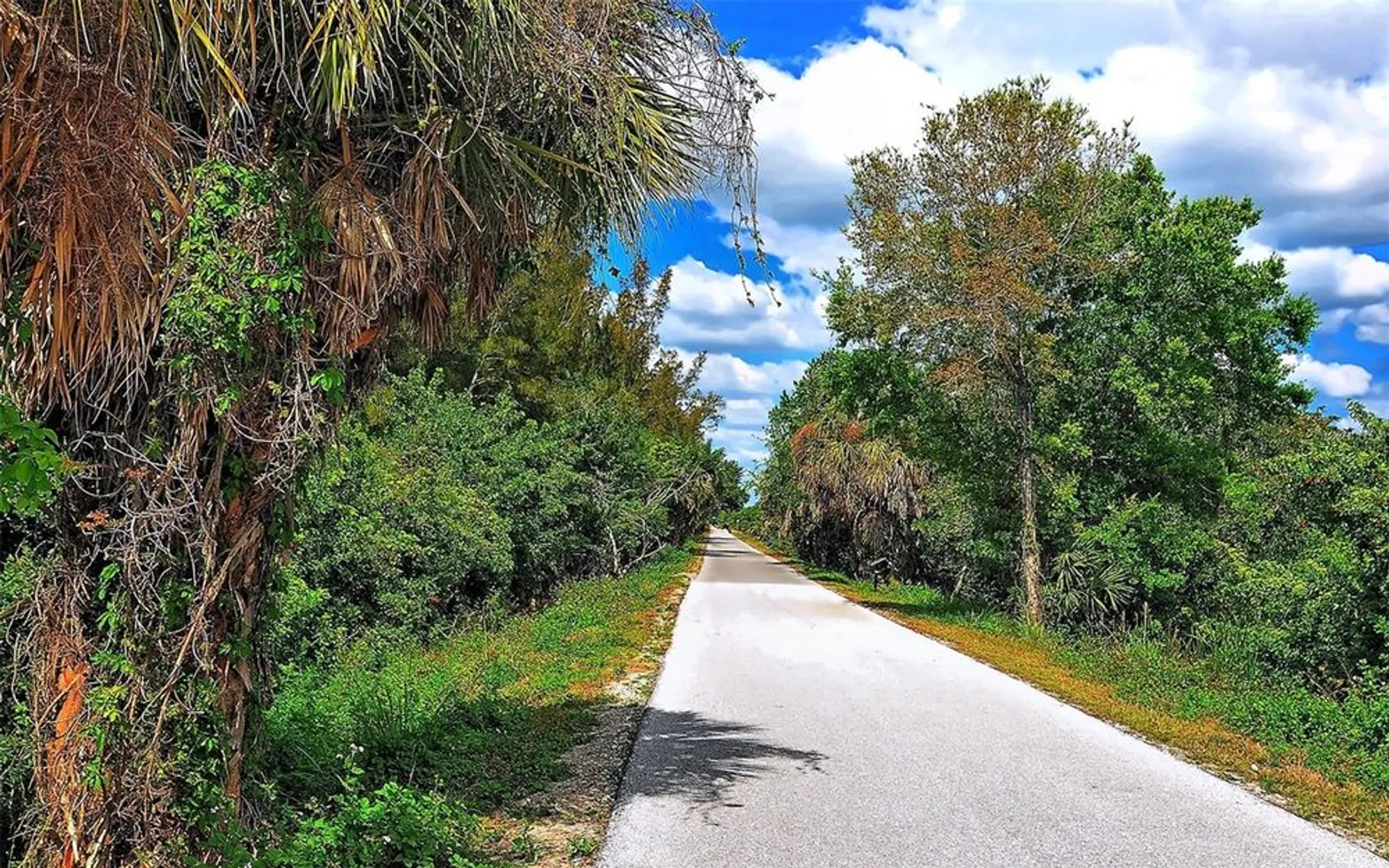 Property Slideshow image 90 of 100 | 5679 ferrara dr, Sarasota, FL, 34238