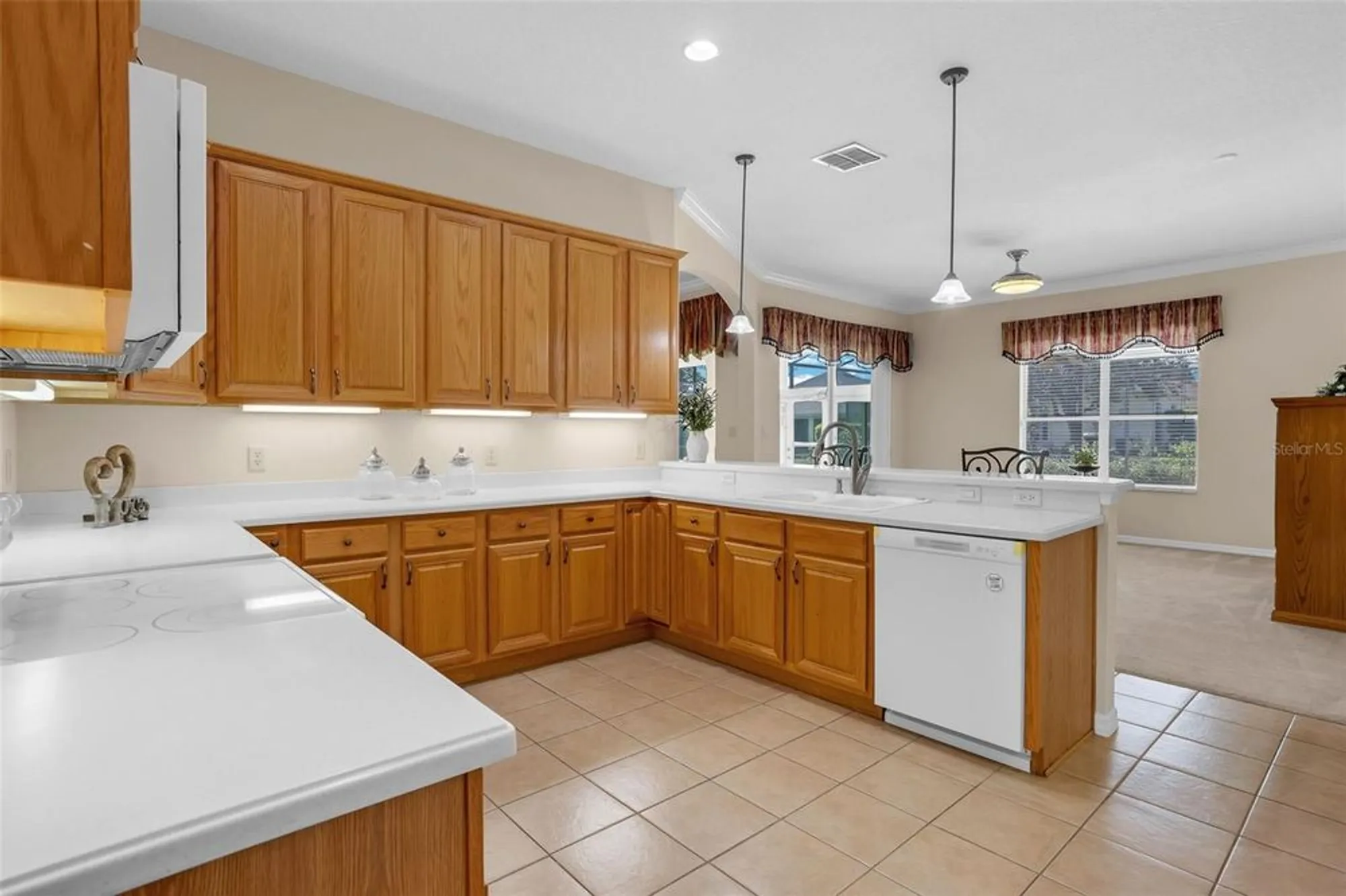 Property Slideshow image 12 of 73 | 3728 mulberry grove loop, Leesburg, FL, 34748