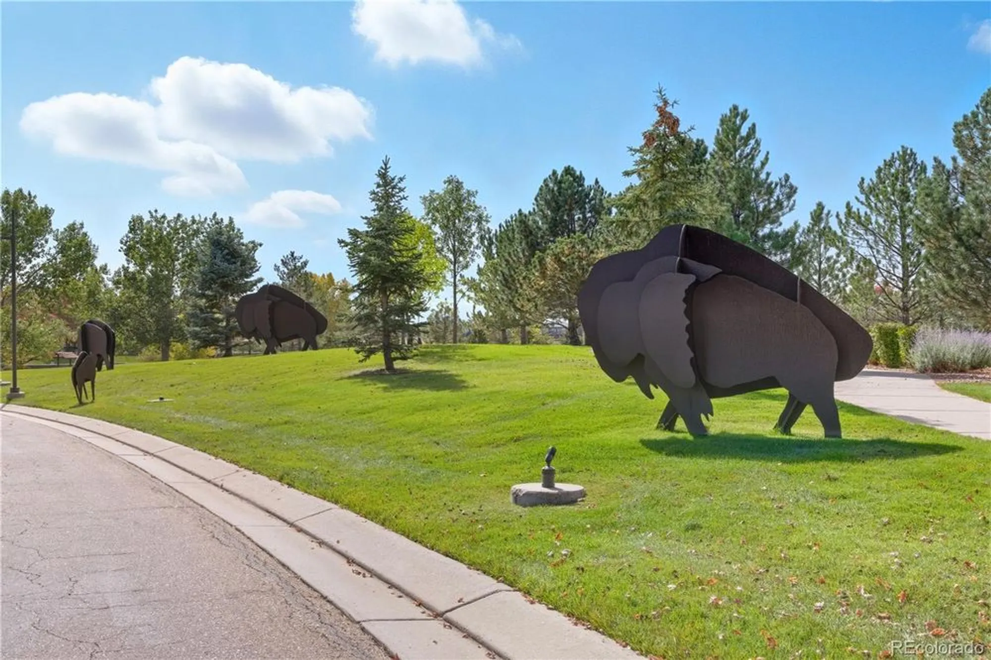 Property Slideshow image 49 of 50 | 3763 wild horse dr, Broomfield, CO, 80023