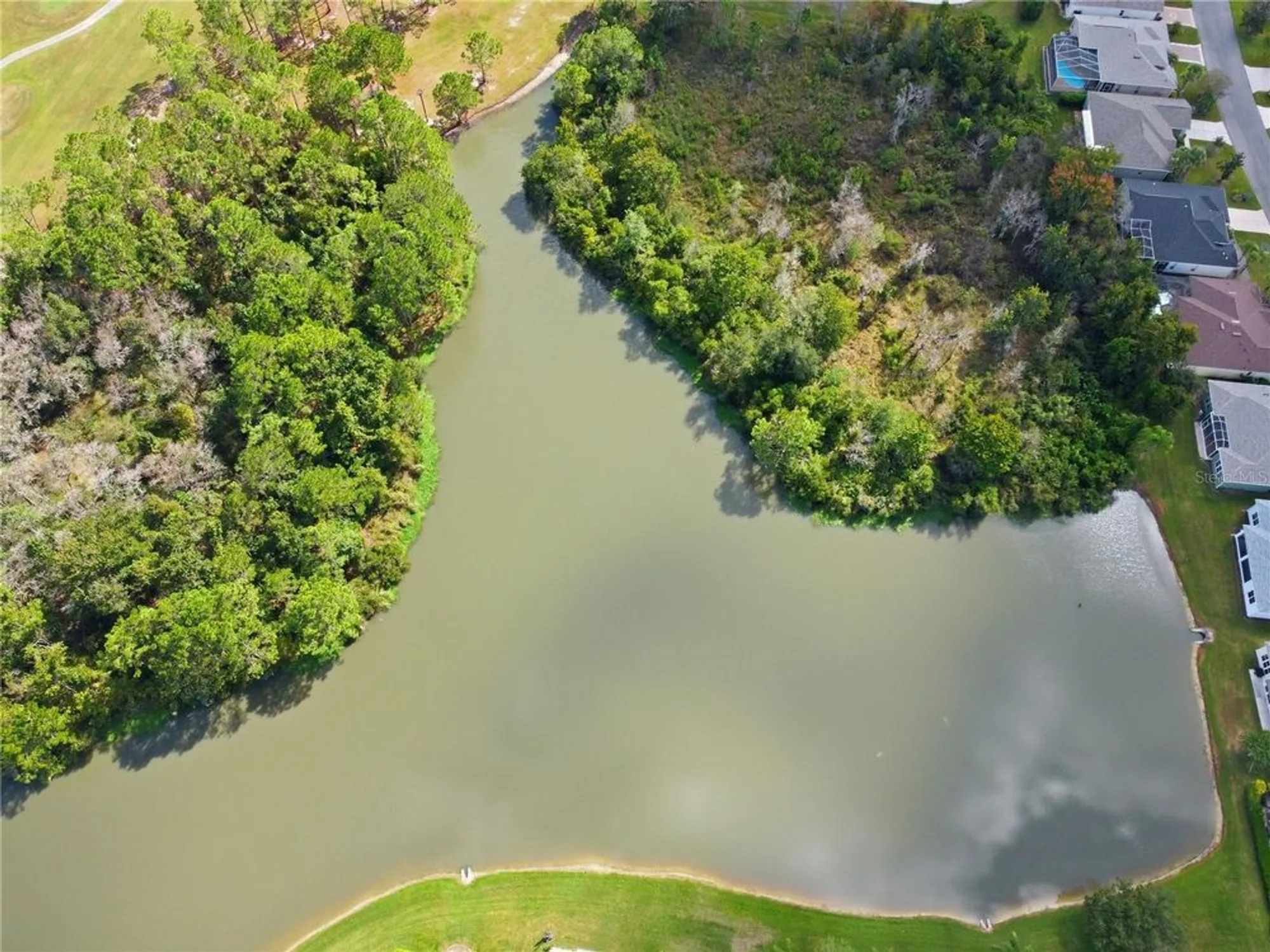 Property Slideshow image 40 of 100 | 10242 chatuge dr, San Antonio, FL, 33576