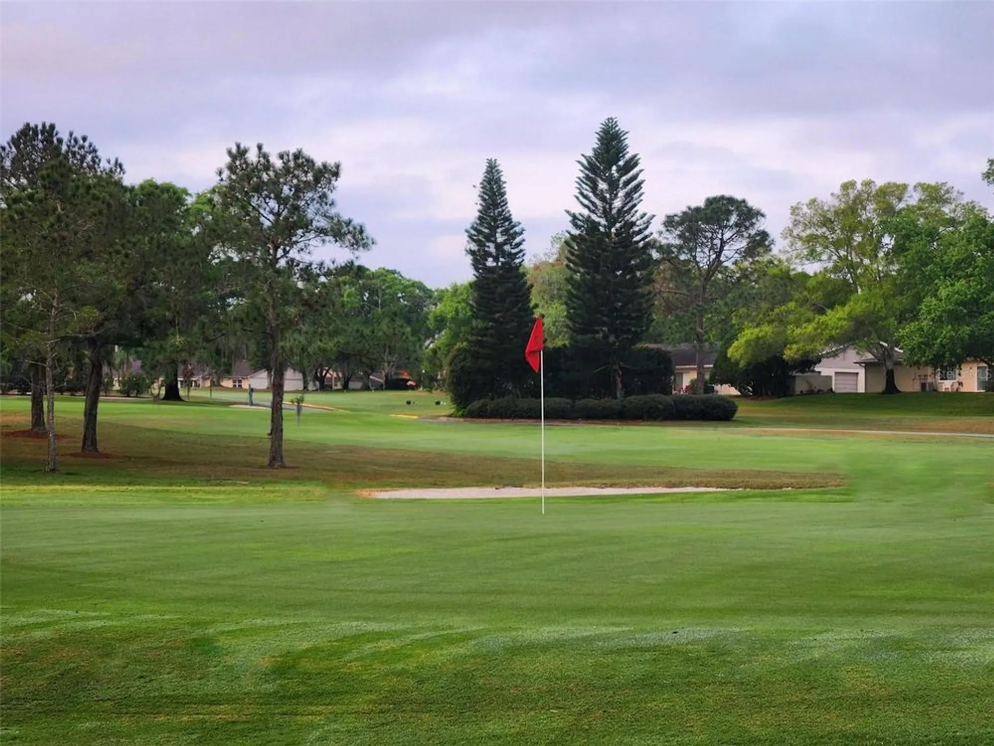 Property Slideshow image 43 of 55 | 2281 shelly dr d, Palm Harbor, FL, 34684