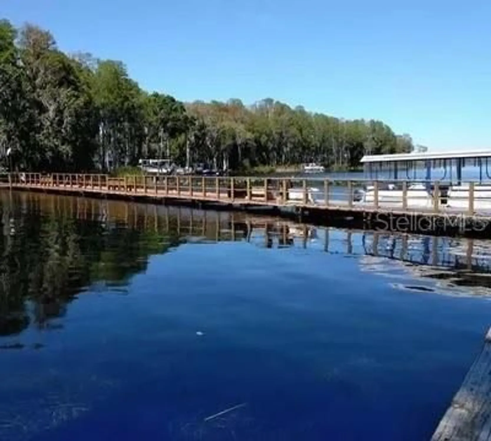 Property Slideshow image 74 of 78 | 2866 thistle ct, Palm Harbor, FL, 34684