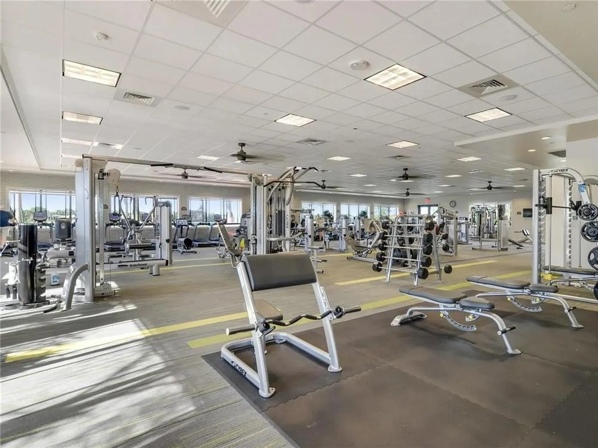 Property Slideshow image 60 of 62 | 5024 ruby flats dr, Wimauma, FL, 33598