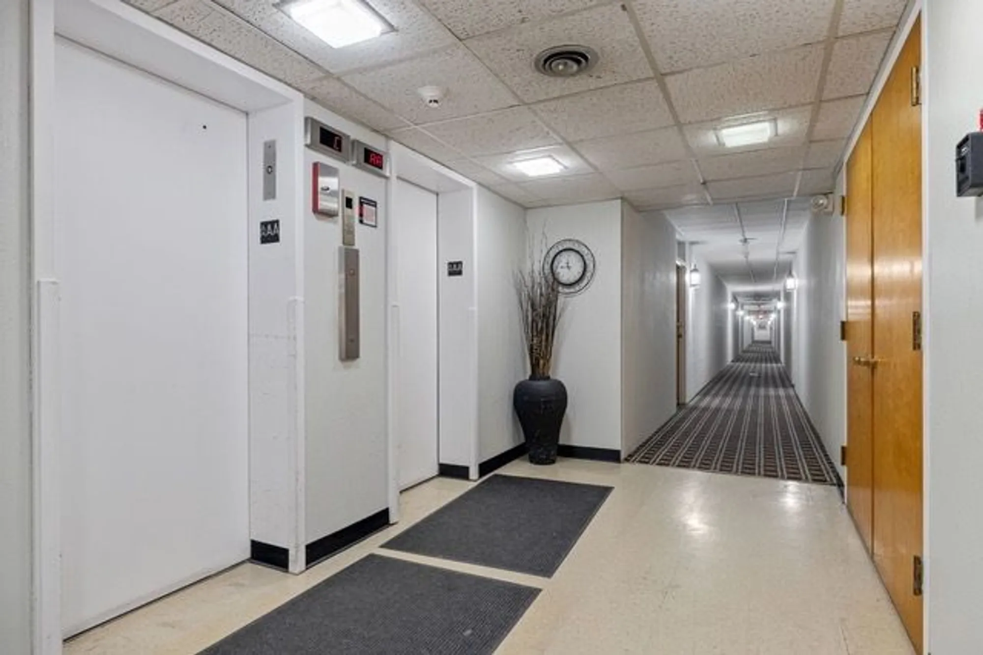 Property Slideshow image 3 of 25 | 5540 walnut ave apt 6b, Downers Grove, IL, 60515