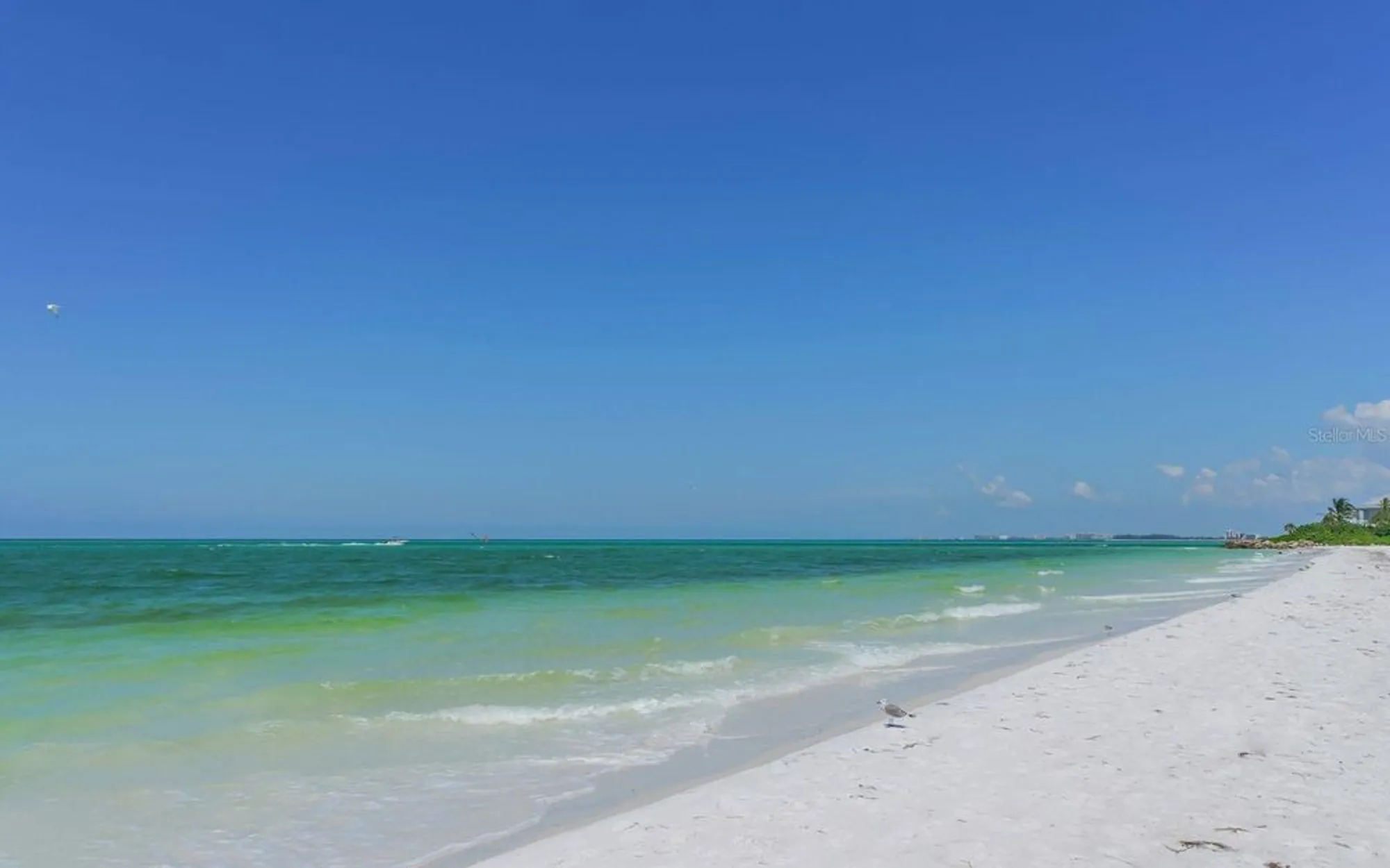 Property Slideshow image 69 of 82 | 19 whispering sands dr apt 1105, Sarasota, FL, 34242