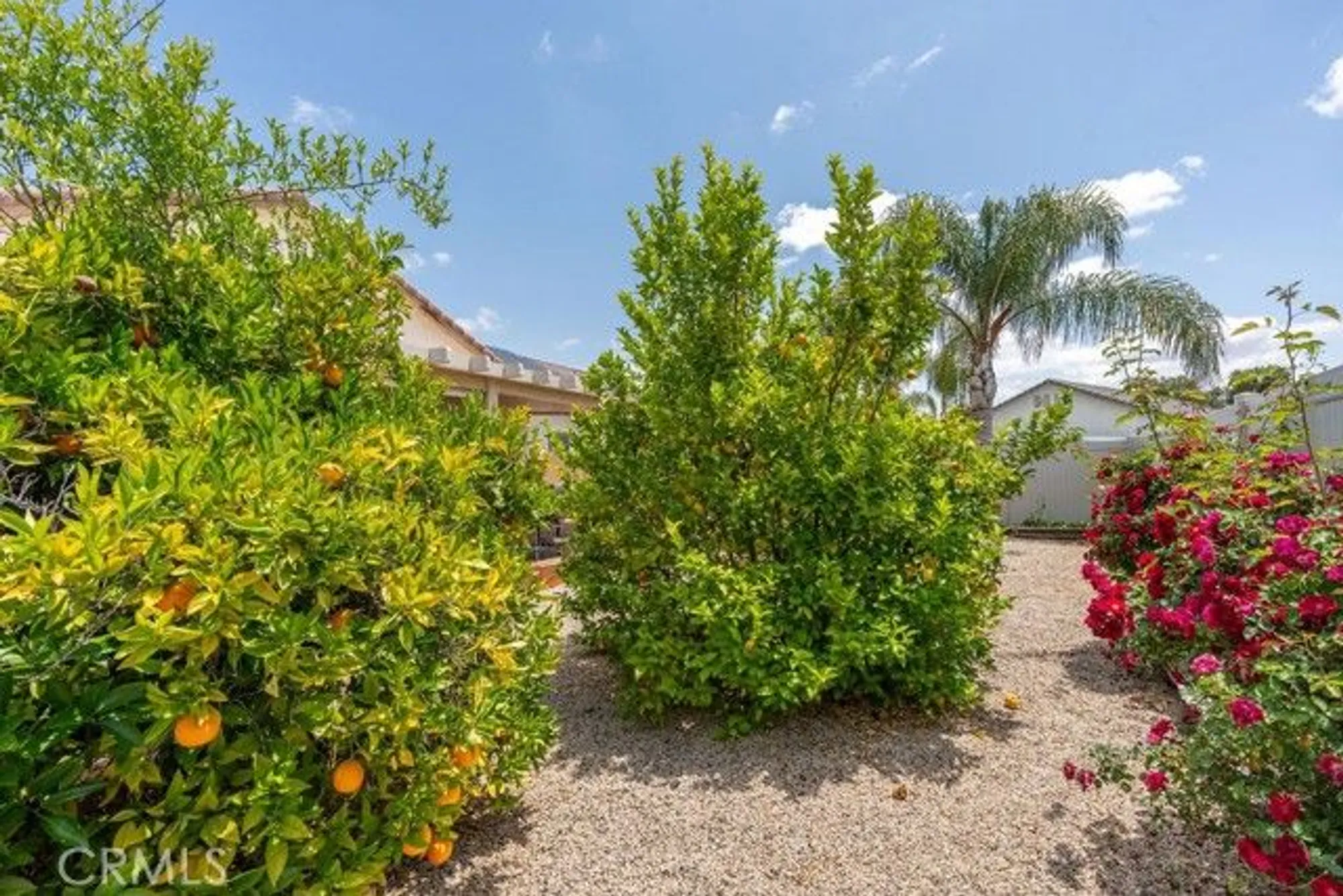 Property Slideshow image 26 of 51 | 29557 warmsprings dr, Menifee, CA, 92584