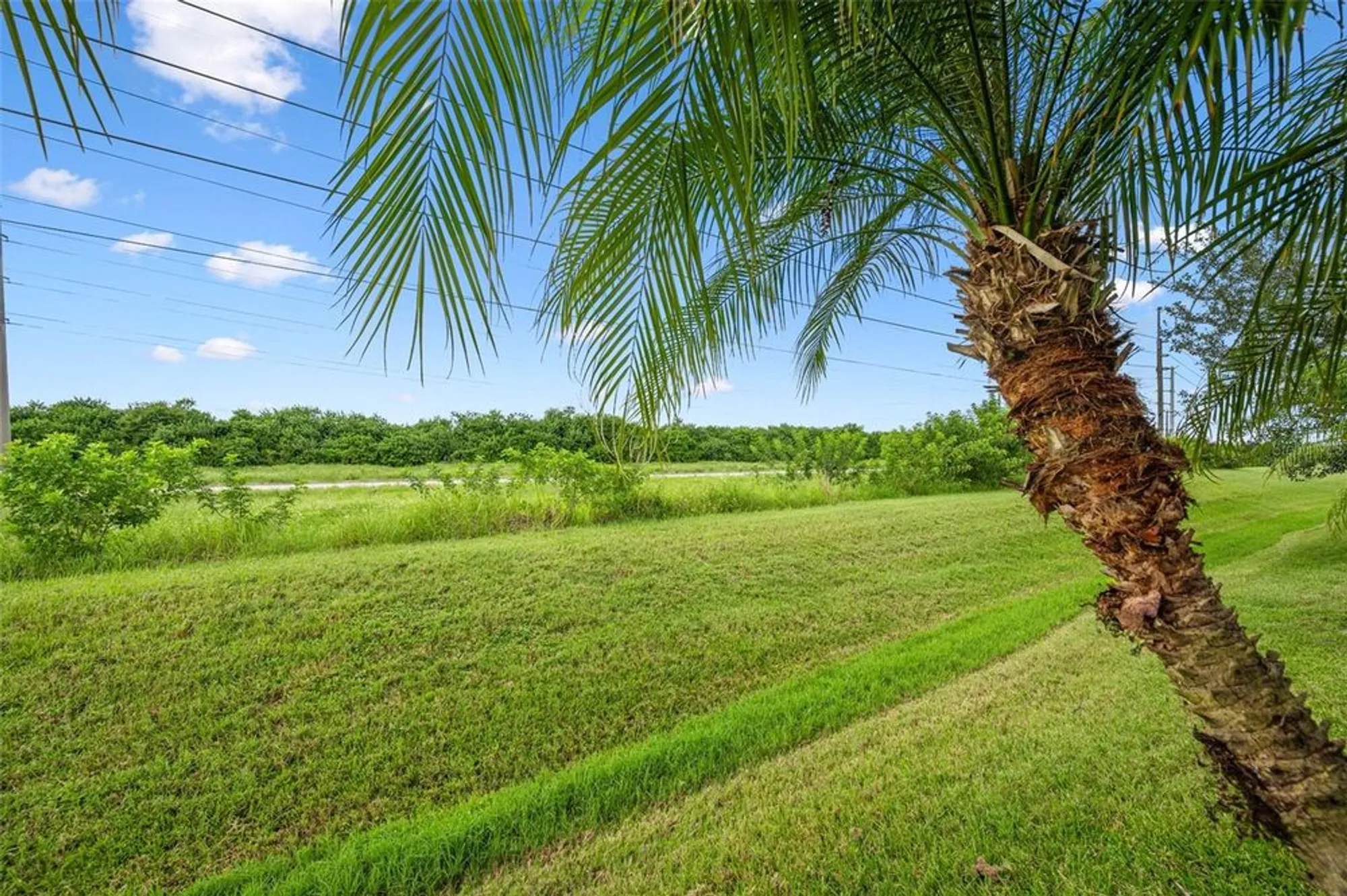 Property Slideshow image 40 of 44 | 3664 gurrero dr, Melbourne, FL, 32940