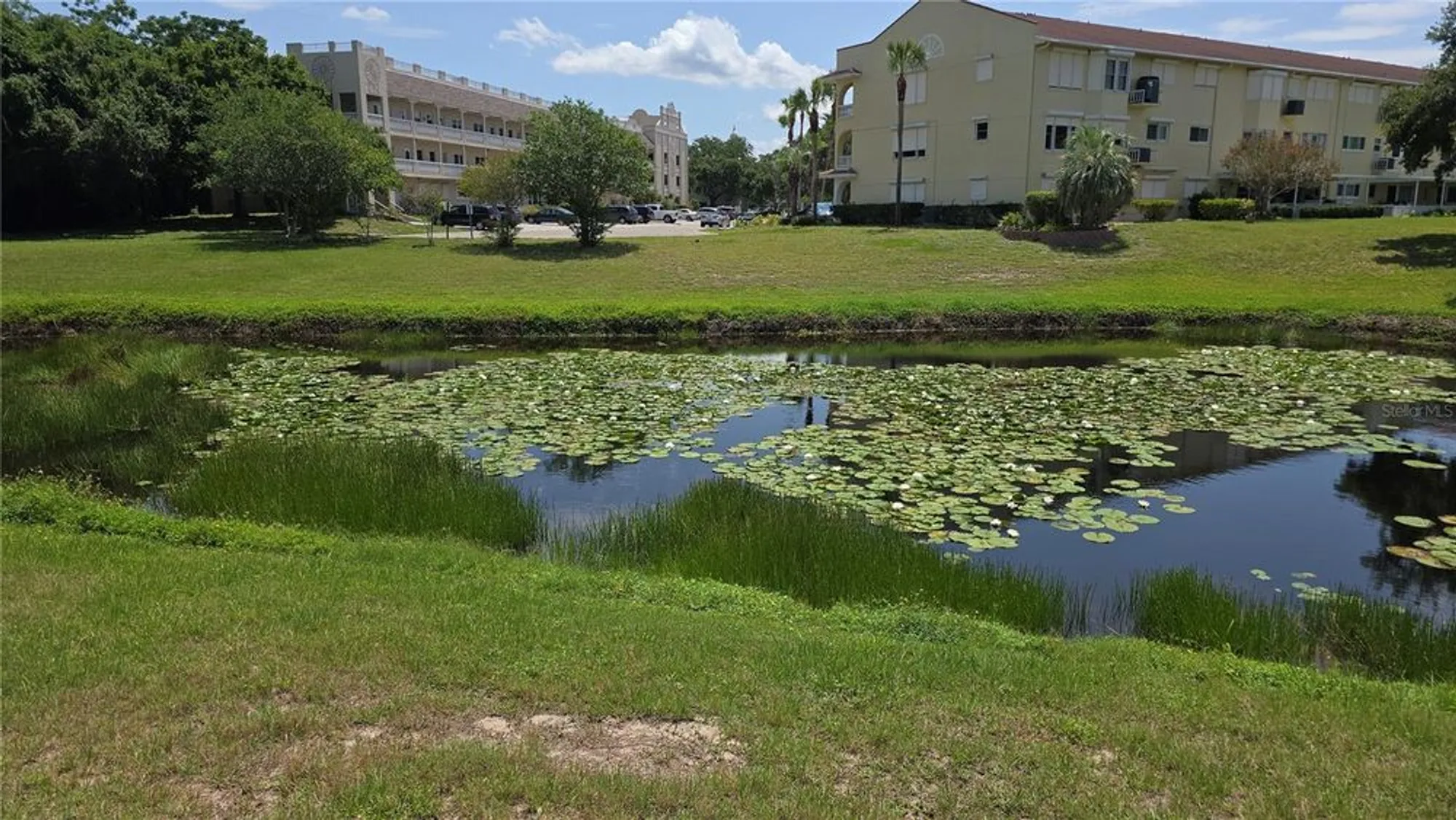 Property Slideshow image 35 of 37 | 2192 swedish dr apt 10, Clearwater, FL, 33763