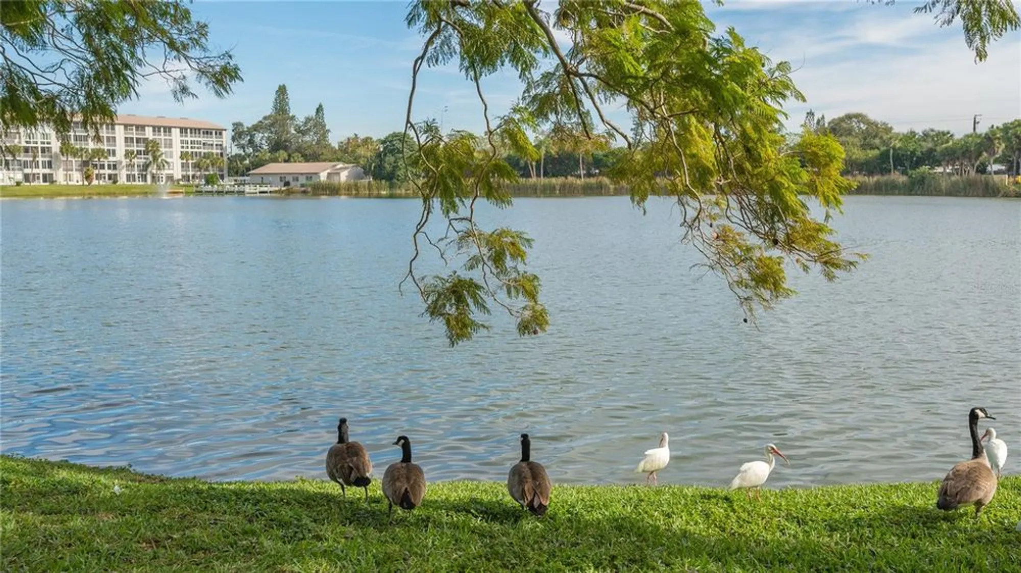 Property Slideshow image 63 of 64 | 4130 heron way # b-115, Bradenton, FL, 34205