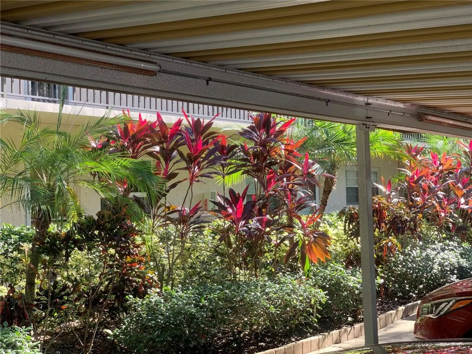 Property Slideshow image 38 of 52 | 840 virginia st 108, Dunedin, FL, 34698