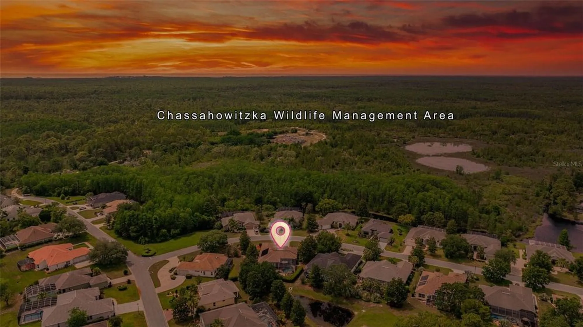 Property Slideshow image 40 of 61 | 8308 mobile cir, Weeki Wachee, FL, 34613