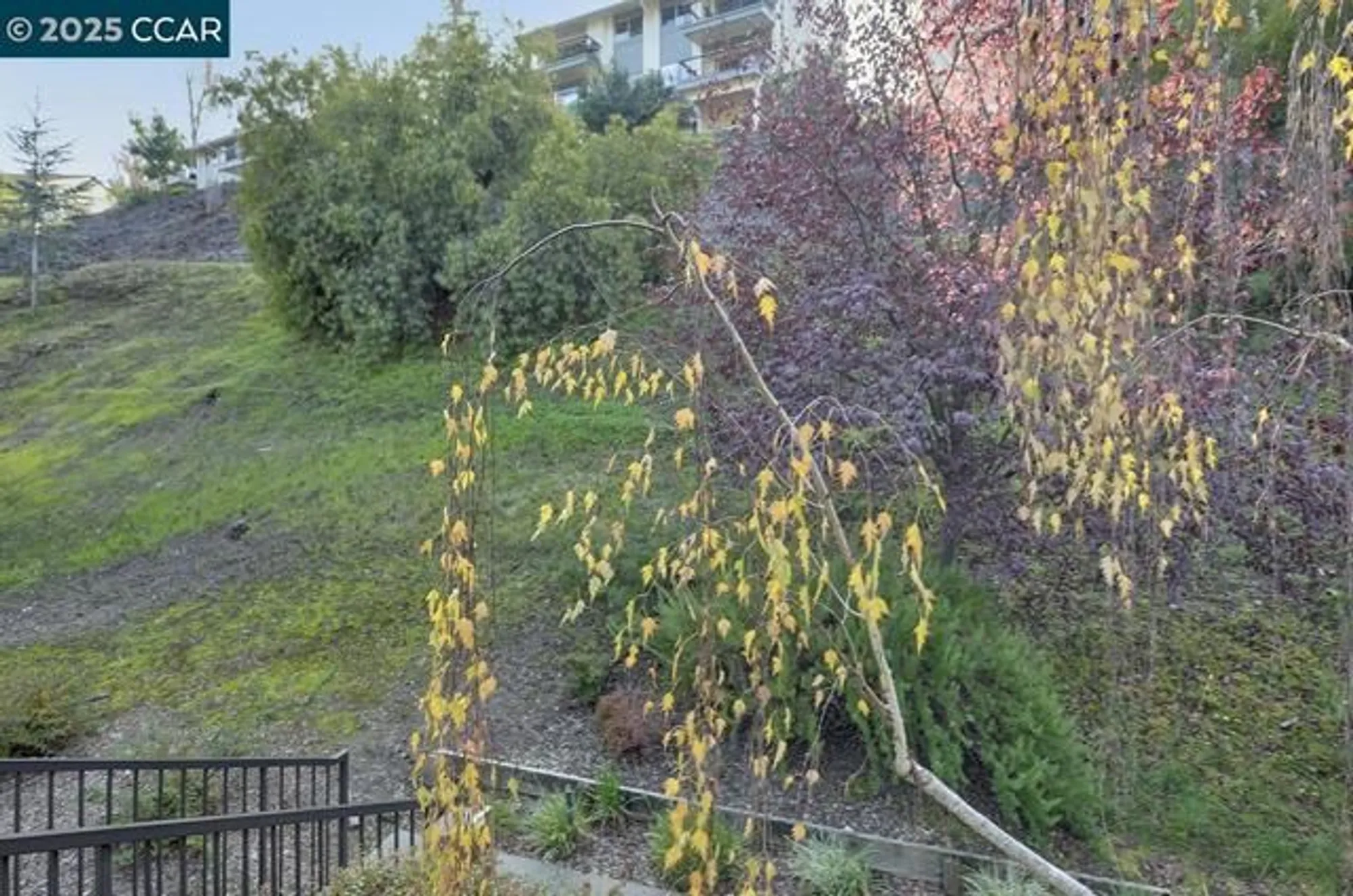 Property Slideshow image 24 of 39 | 1405 ptarmigan dr apt 1, Walnut Creek, CA, 94595