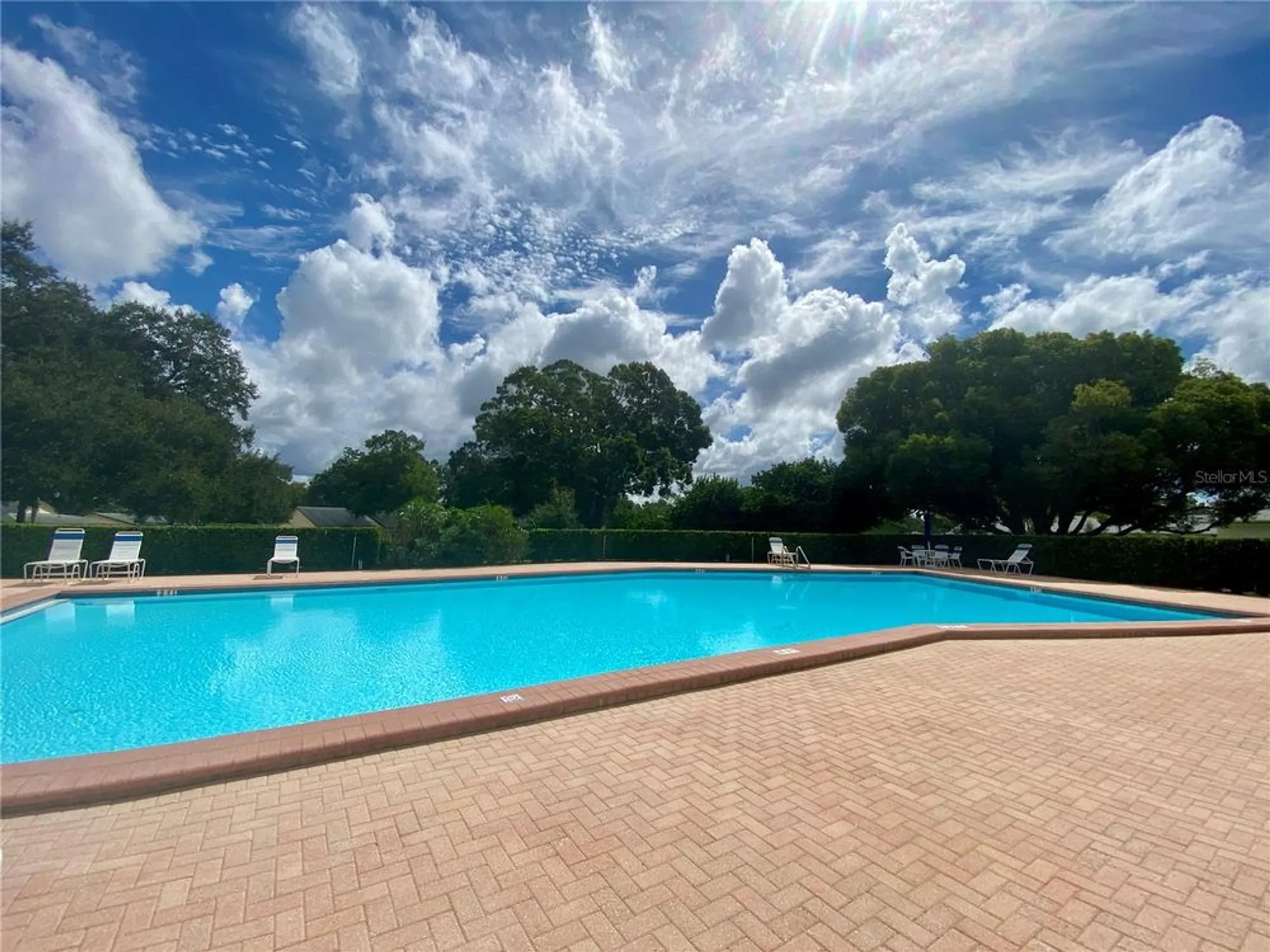 Property Slideshow image 88 of 91 | 1065 tartan dr c, Palm Harbor, FL, 34684