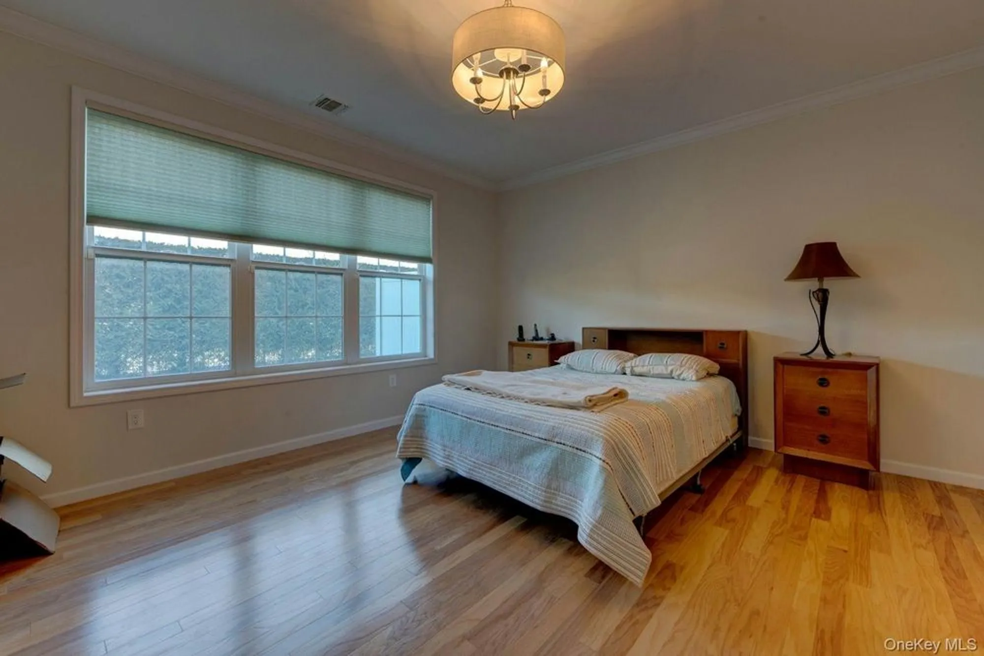 Property Slideshow image 23 of 25 | 12 wolfe cir, West Nyack, NY, 10994