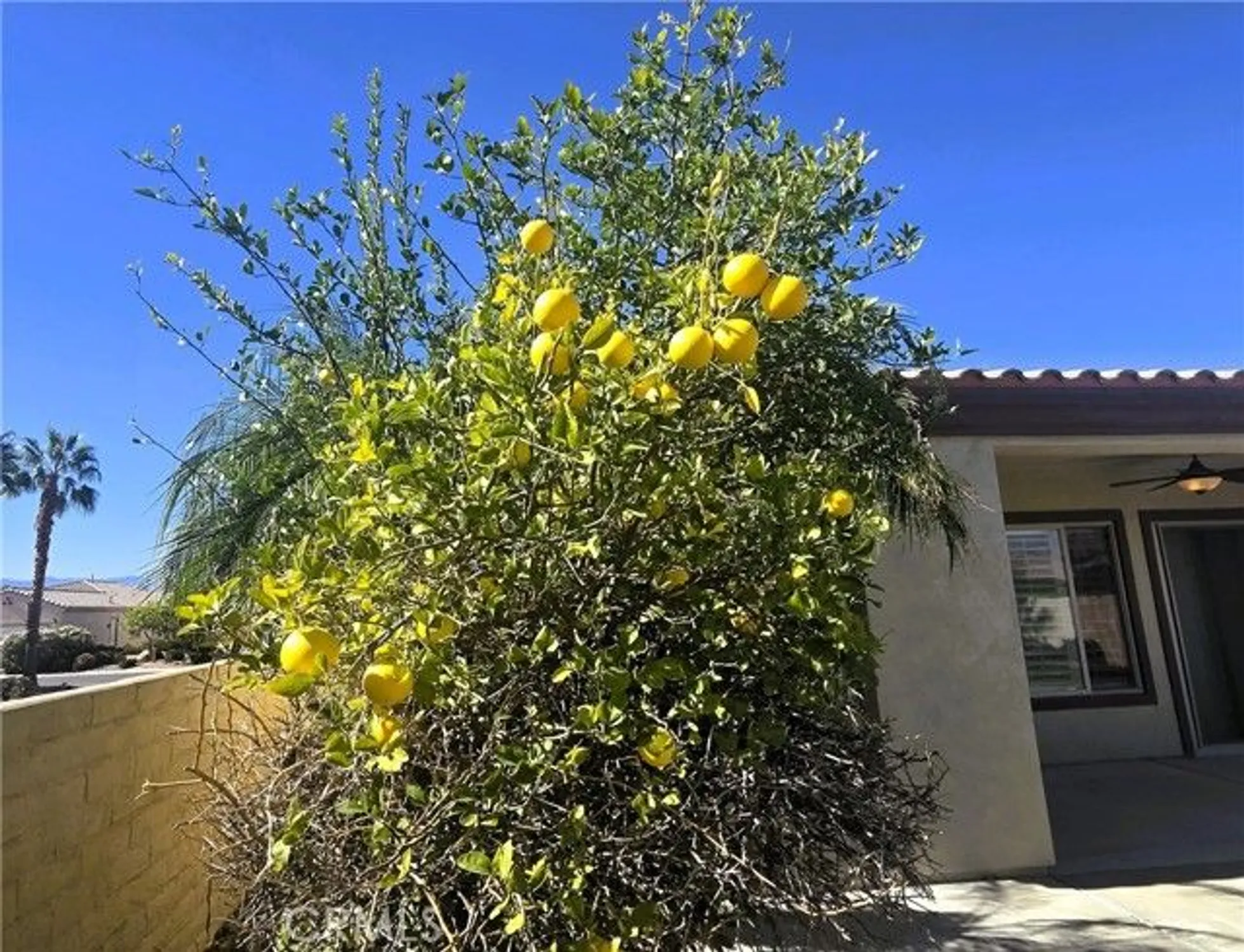 Property Slideshow image 28 of 28 | 40188 calle ebano, Indio, CA, 92203