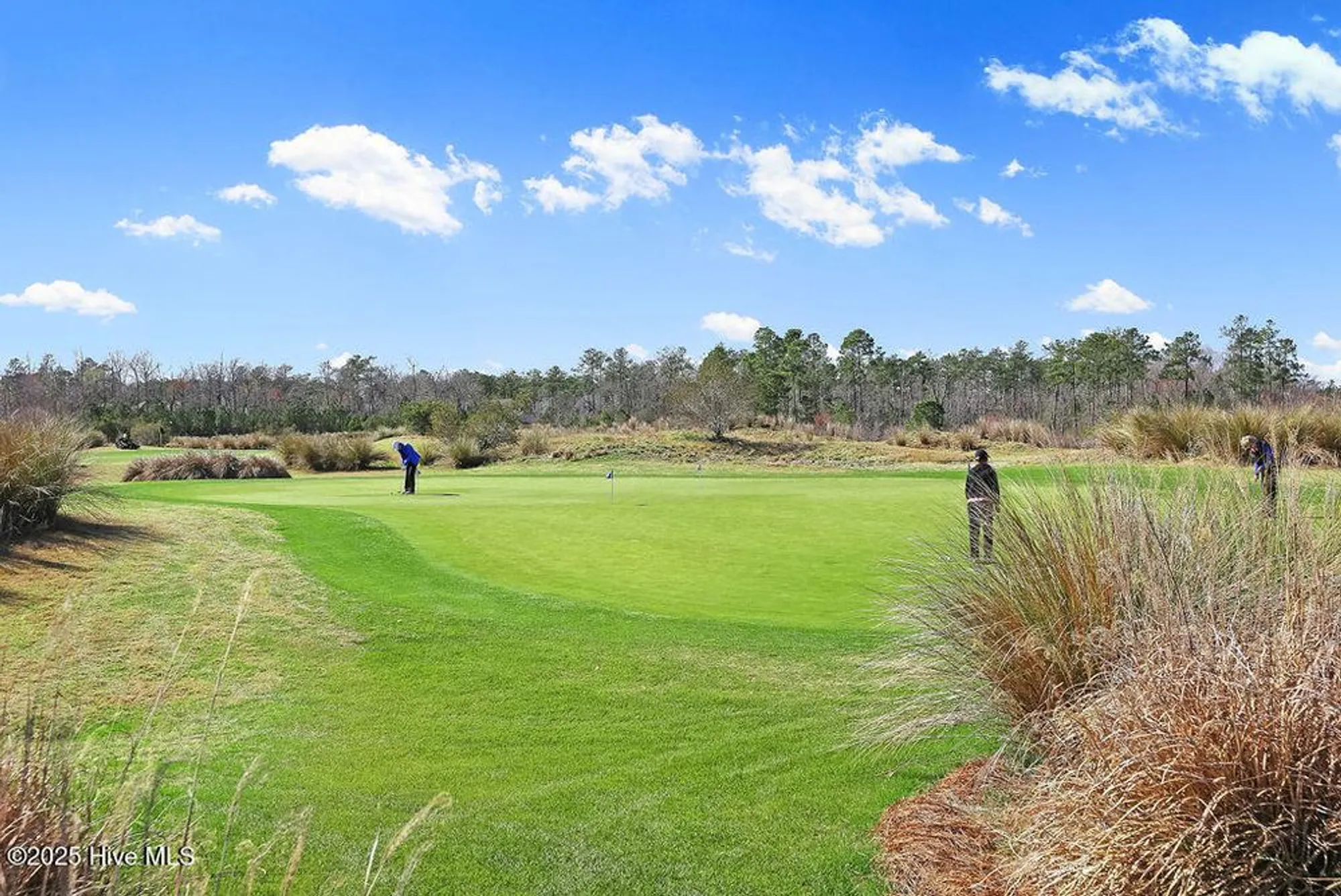 Property Slideshow image 78 of 83 | 2170 talmage dr, Leland, NC, 28451