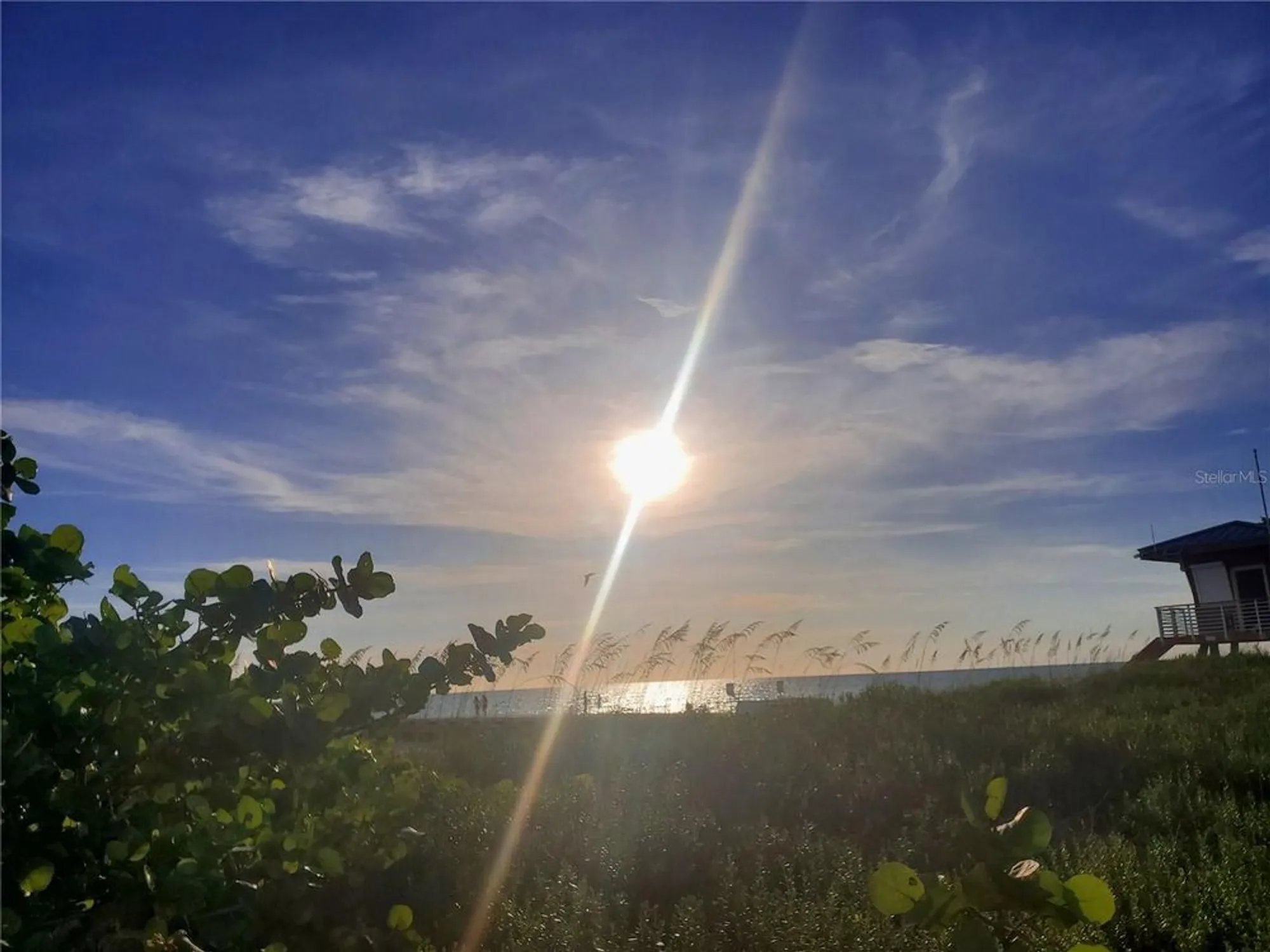 Property Slideshow image 52 of 52 | 343 compass point dr unit 201, Bradenton, FL, 34209